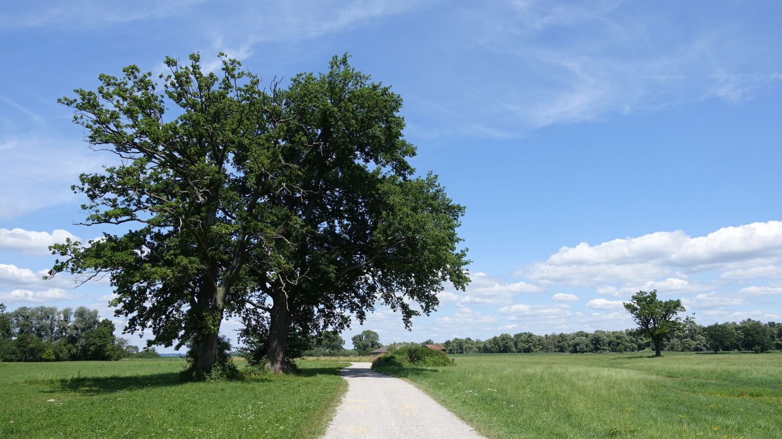 Sony Cyber-shot DSC-RX100 IV sample photo. Landscape, chiemgau, bavaria photography
