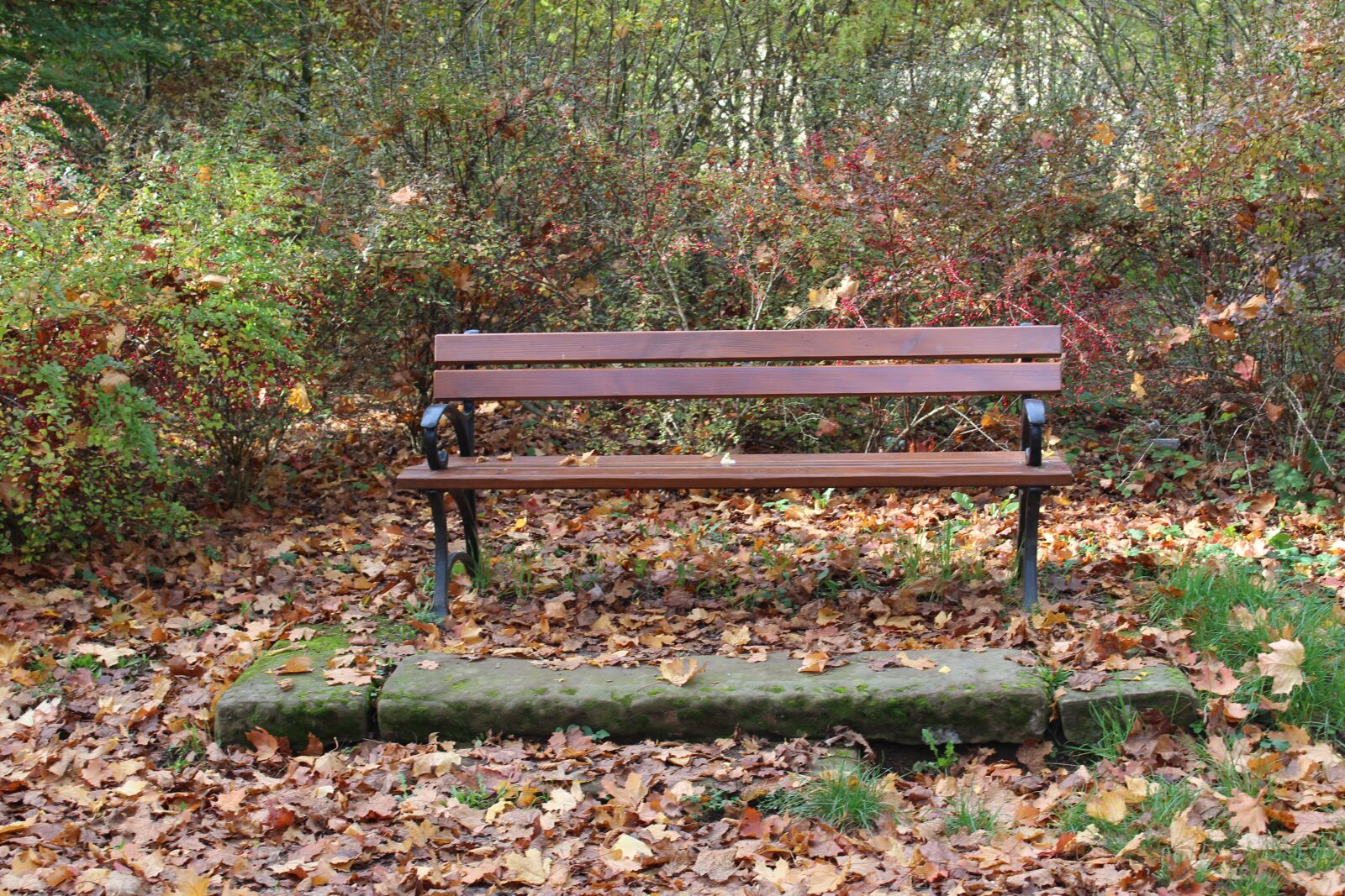 Canon EOS 1300D (EOS Rebel T6 / EOS Kiss X80) sample photo. Bank, park, park bench photography