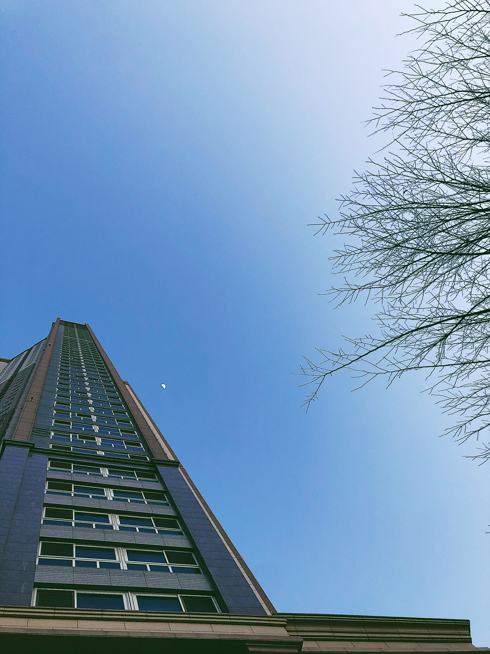iPhone X back dual camera 4mm f/1.8 sample photo. Moon, tree, building photography