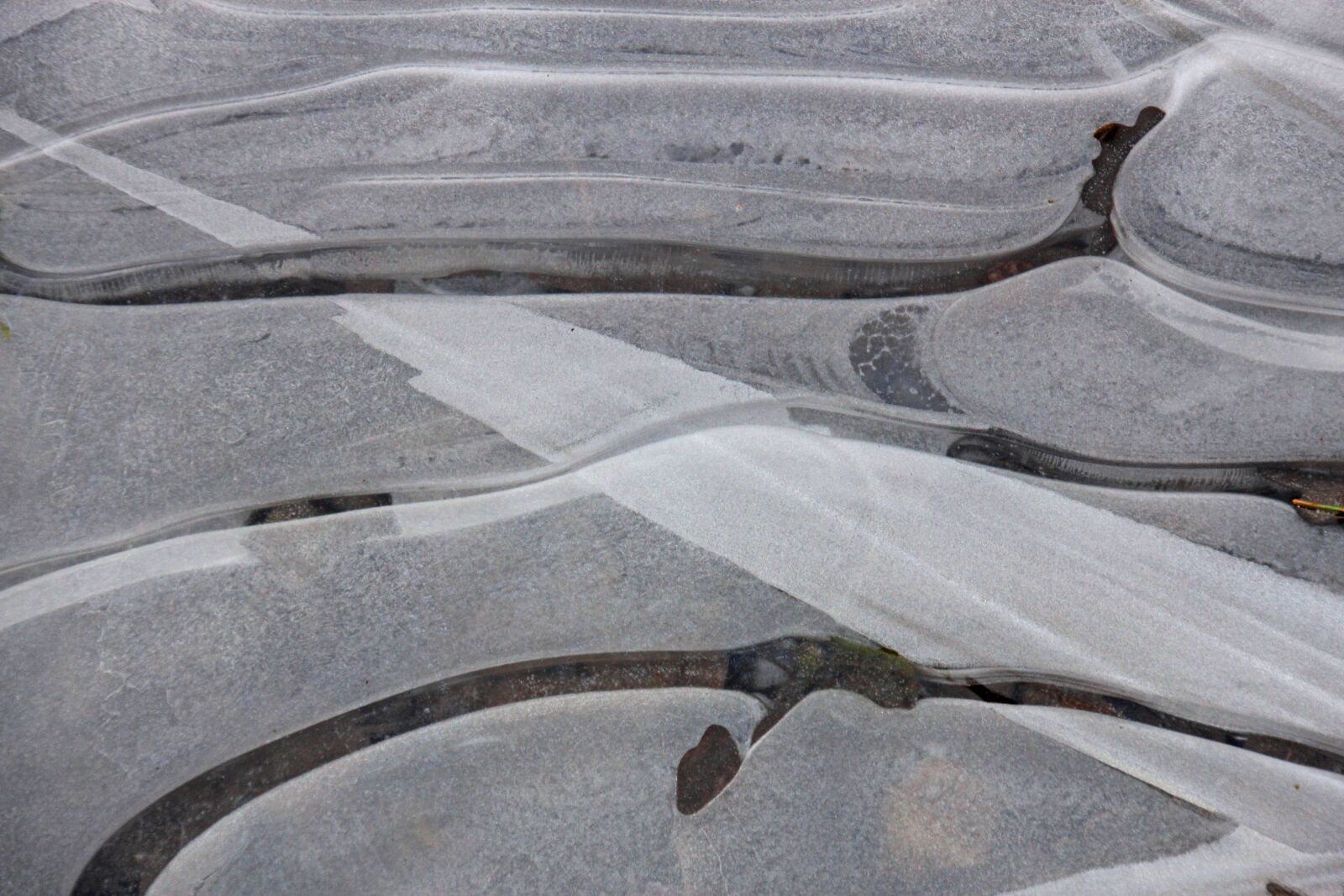 Canon EOS 60D sample photo. Ice, frost, nature photography