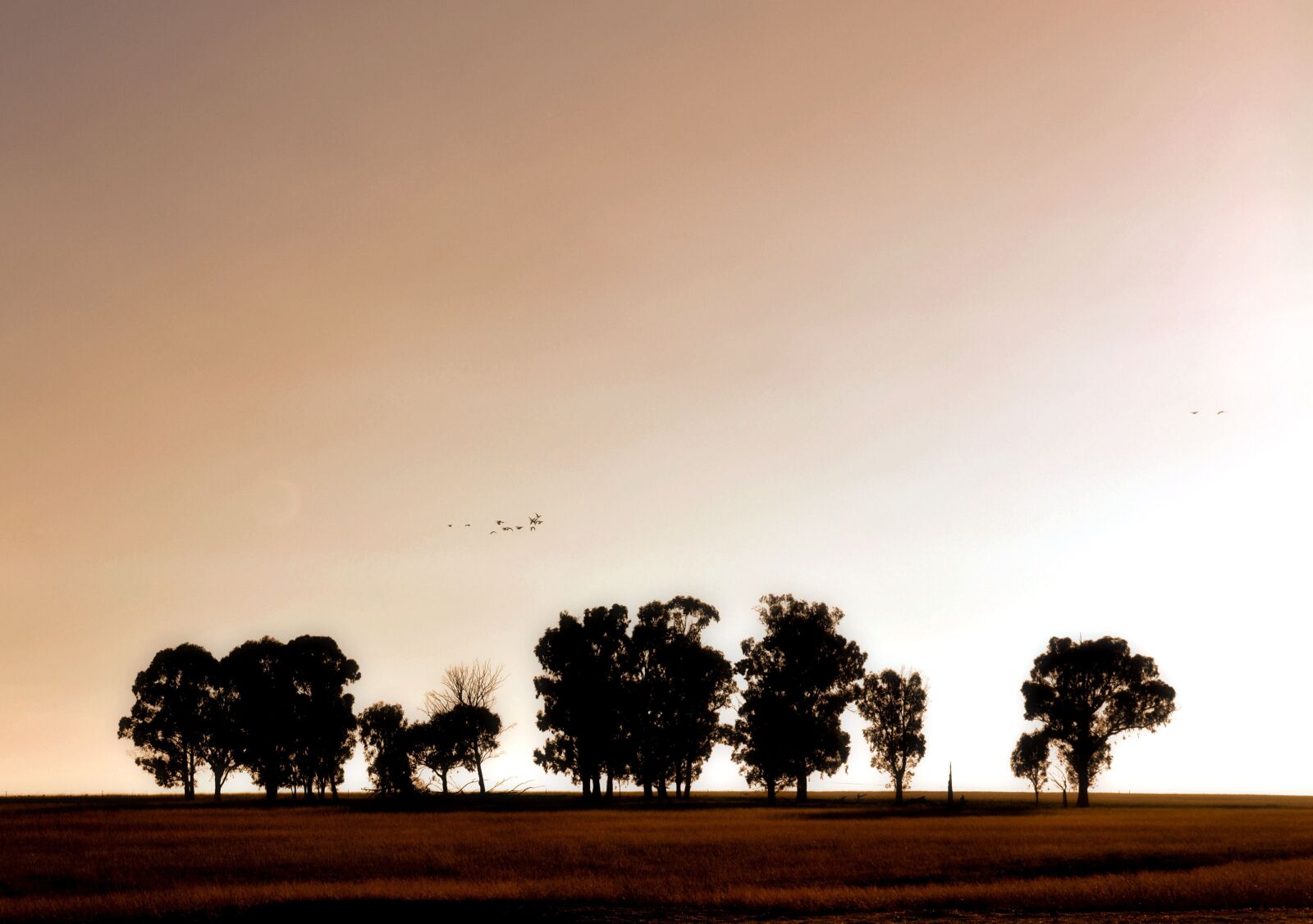 Nikon D3100 sample photo. Landscape, nature, sunlight photography