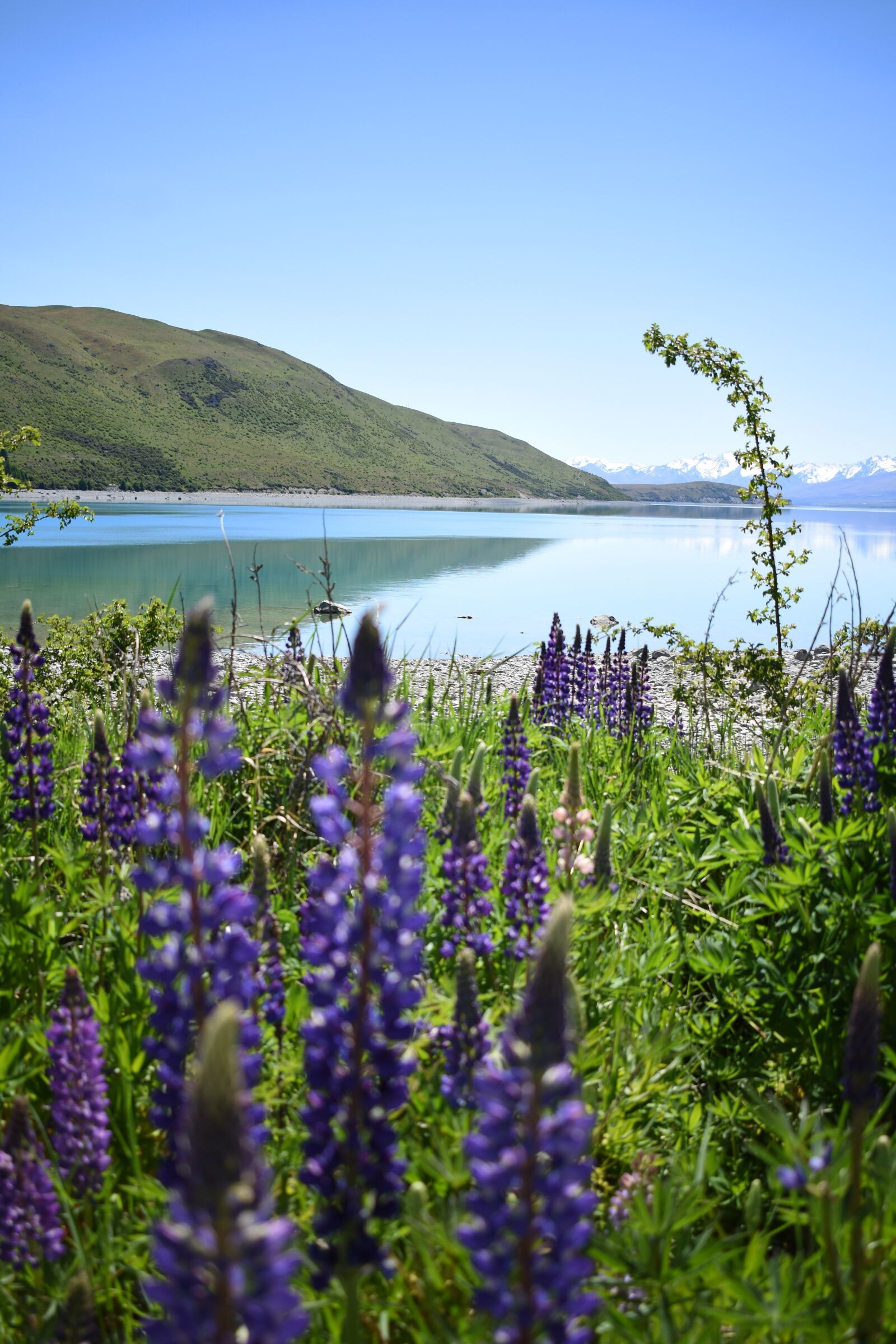 Nikon D3400 sample photo. Tekapo, new zealand, lake photography