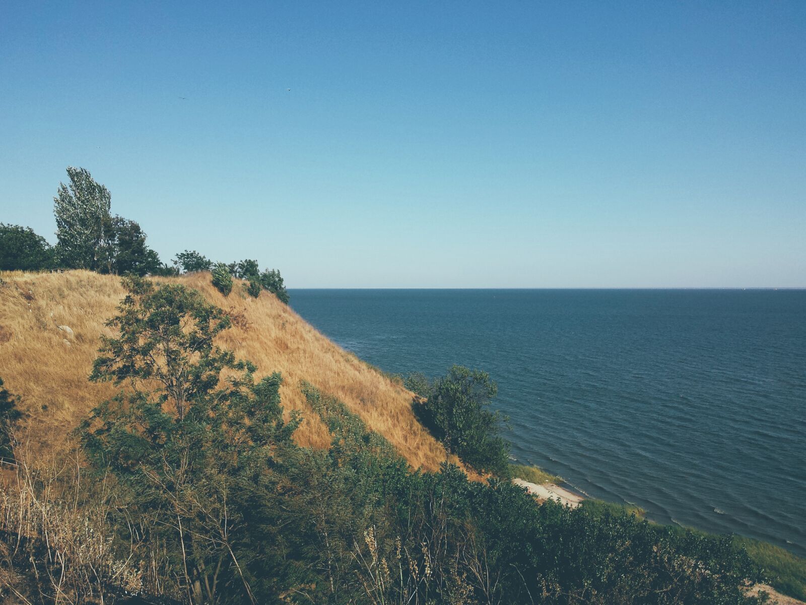 Samsung Galaxy S4 sample photo