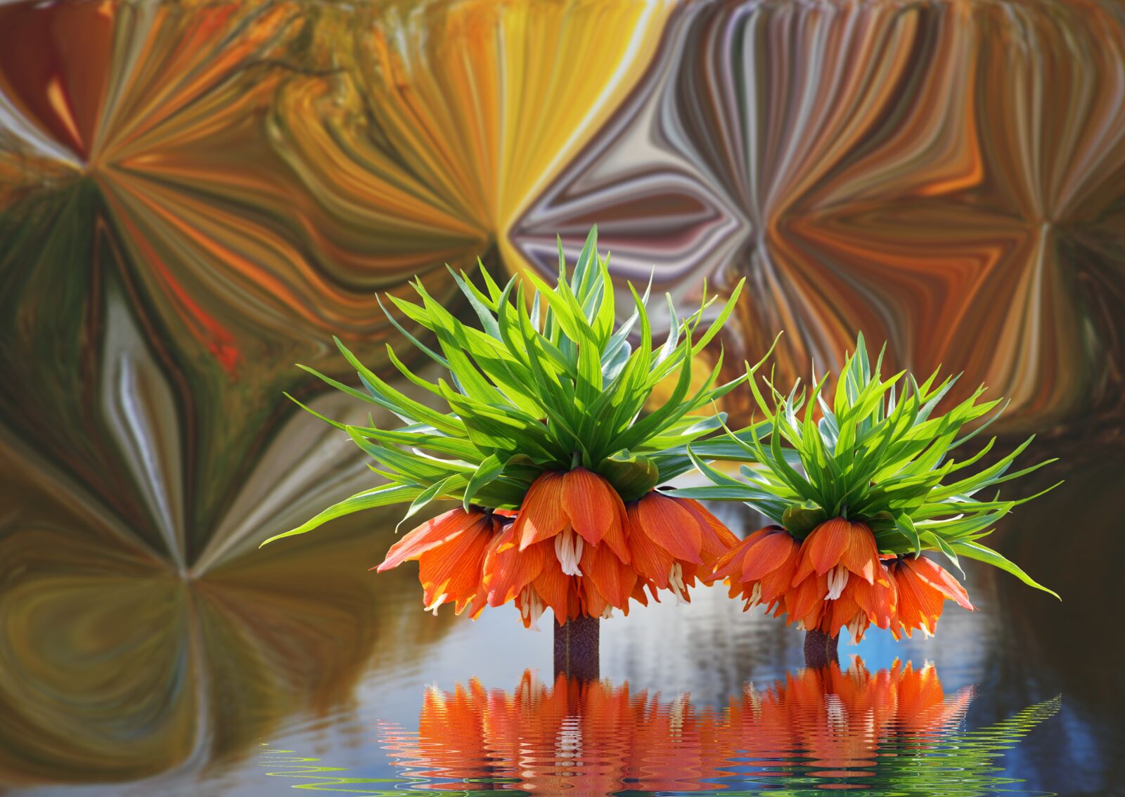 Canon EOS 6D sample photo. Flower, the background, water photography