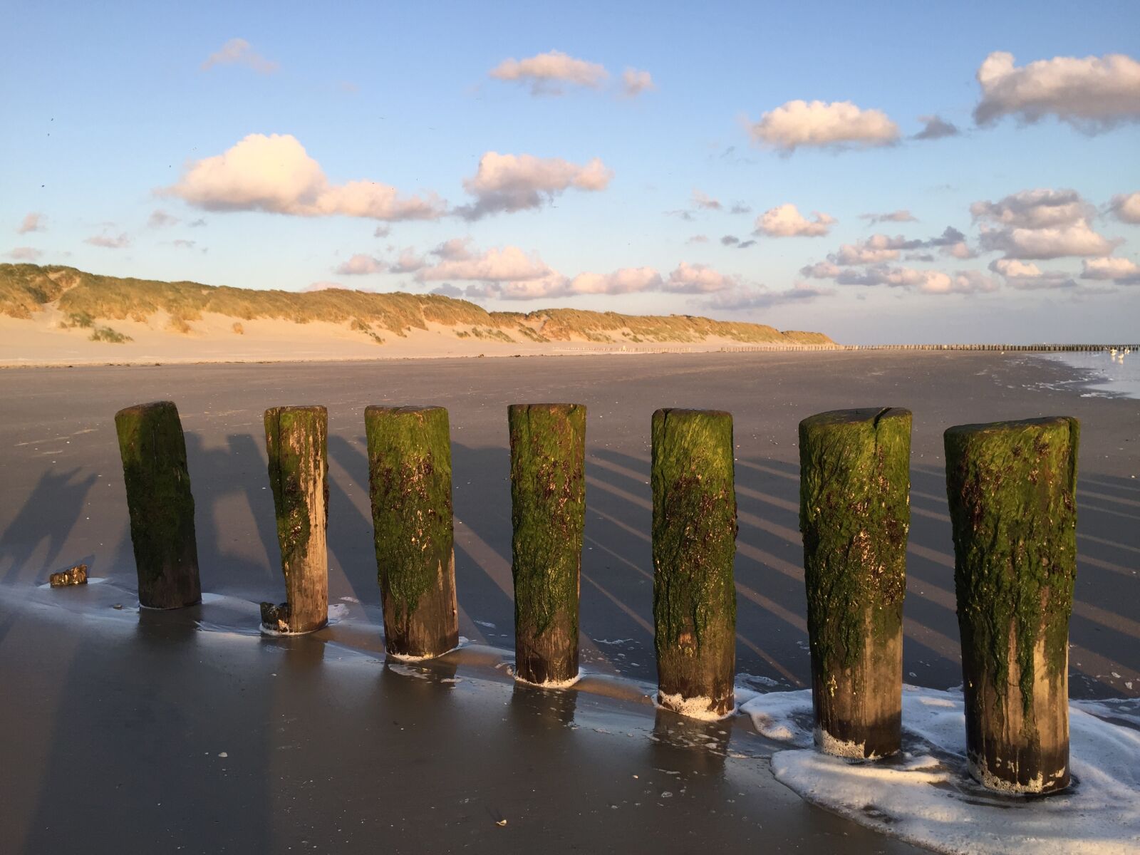 Apple iPhone 6 sample photo. Ameland, beach, dog photography