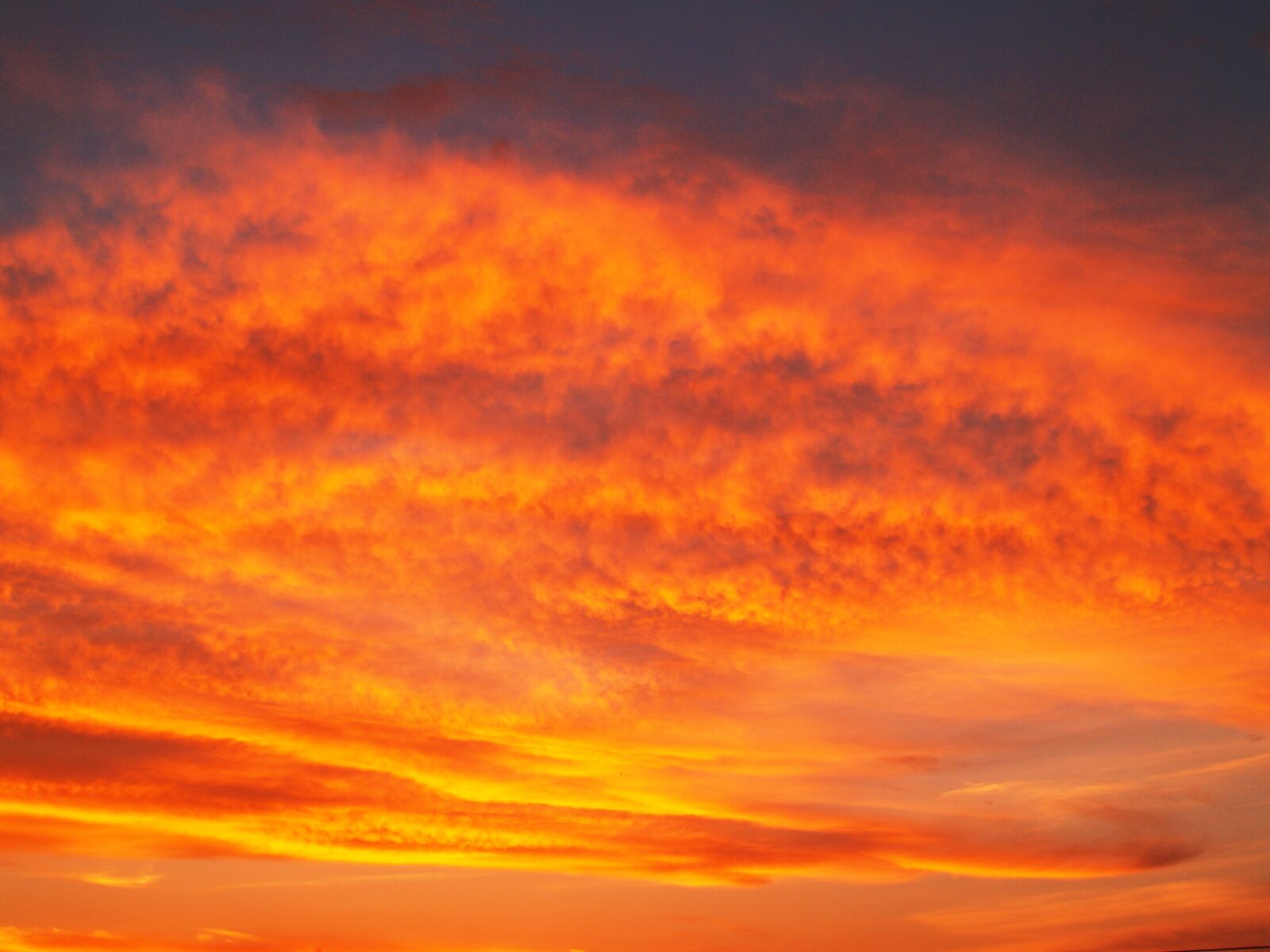 Olympus E-300 (EVOLT E-300) sample photo. Sunset, sky, red photography