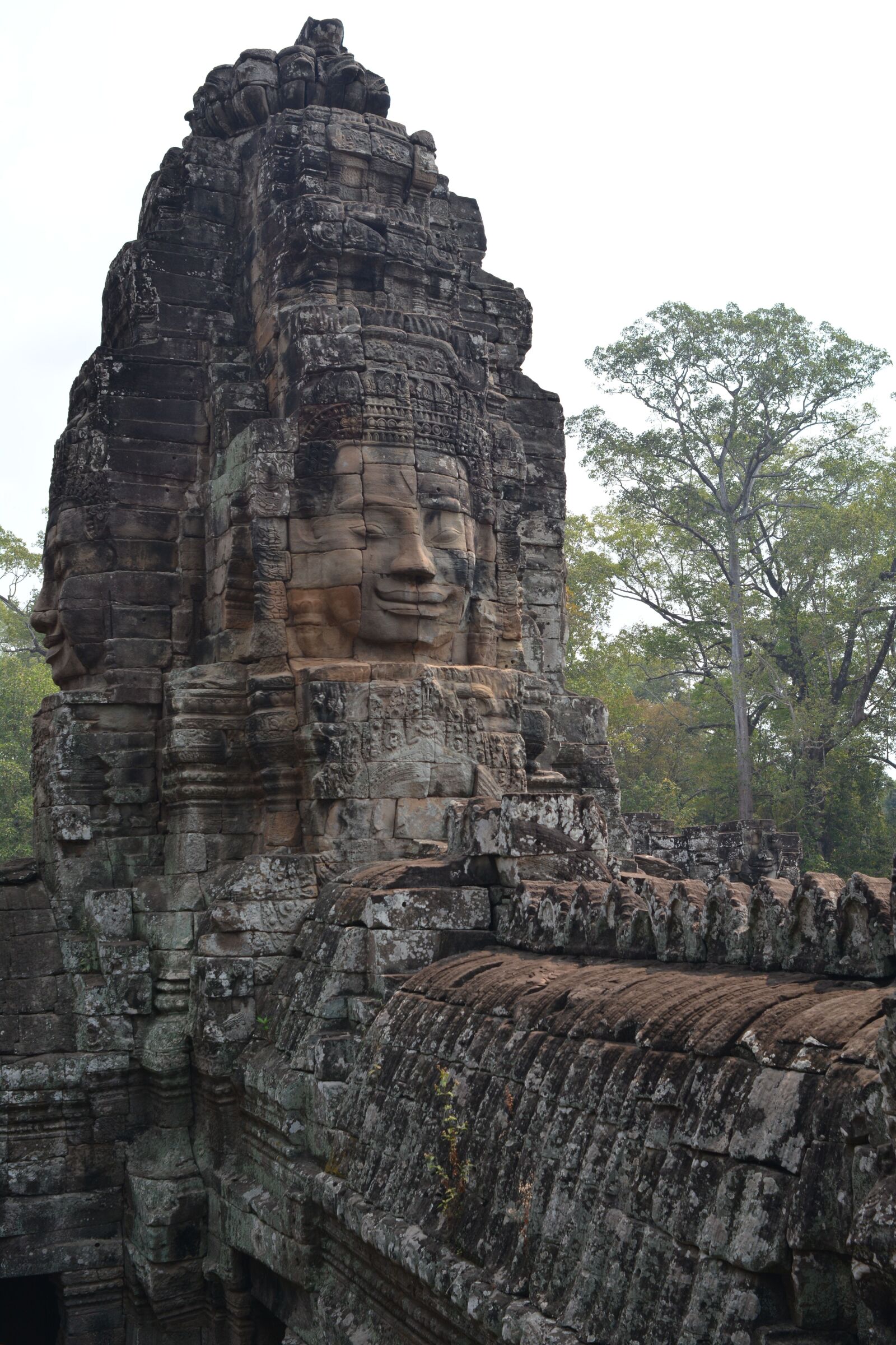 Nikon D7100 sample photo
