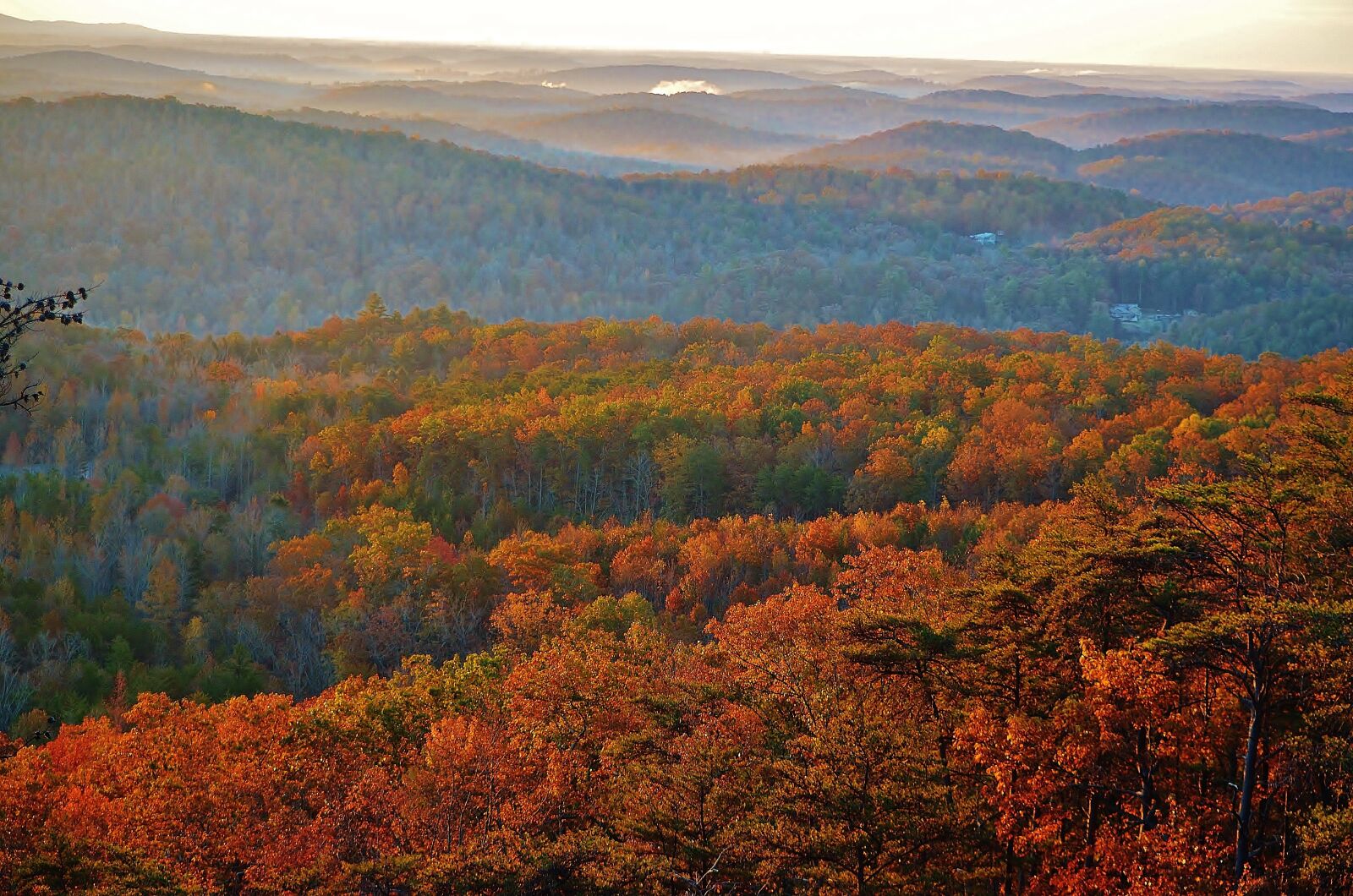 Nikon D5100 sample photo. Fall colors, fall, autumn photography