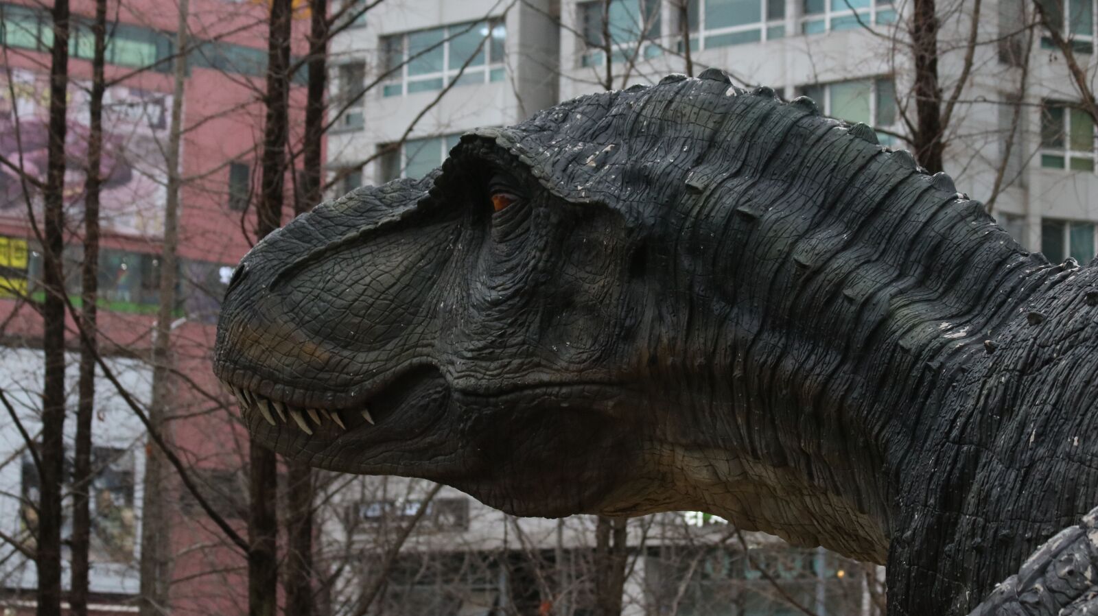 Canon EOS 750D (EOS Rebel T6i / EOS Kiss X8i) sample photo. City, old, nature photography
