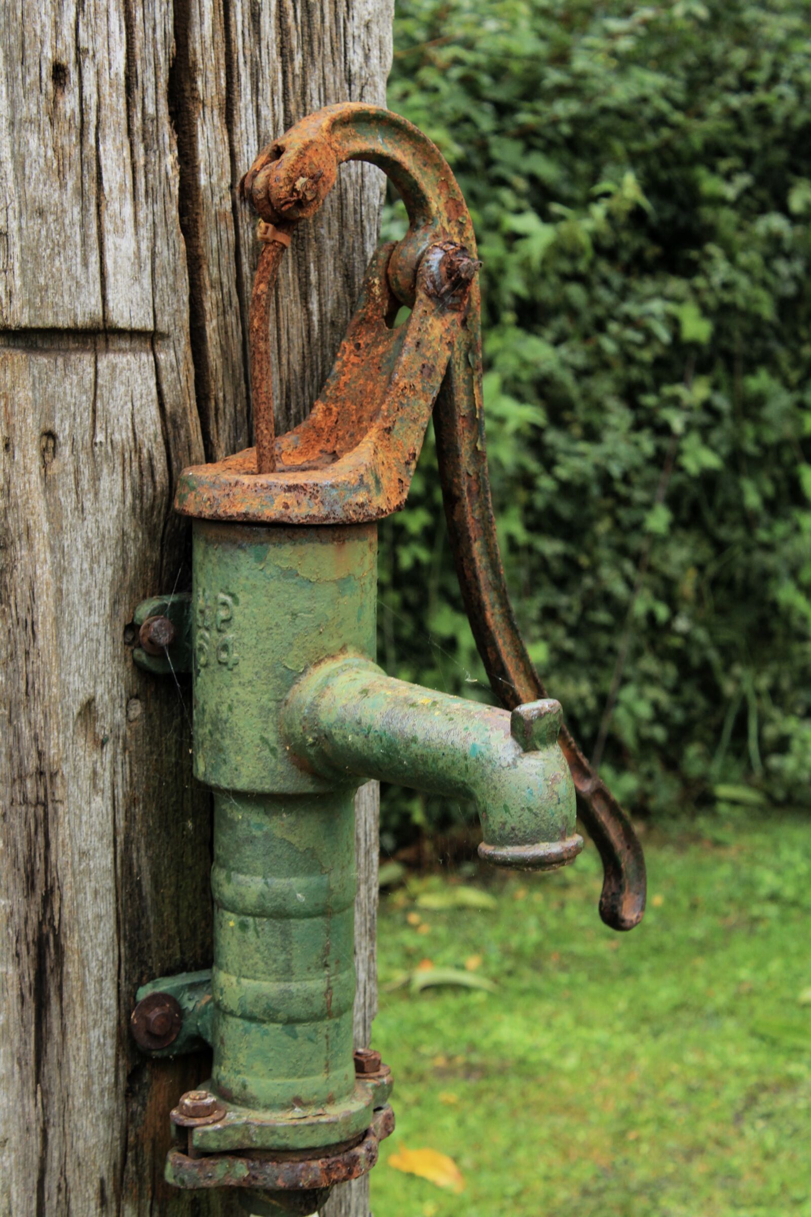 Canon EOS 2000D (EOS Rebel T7 / EOS Kiss X90 / EOS 1500D) sample photo. Hand pump, countryside, drink photography