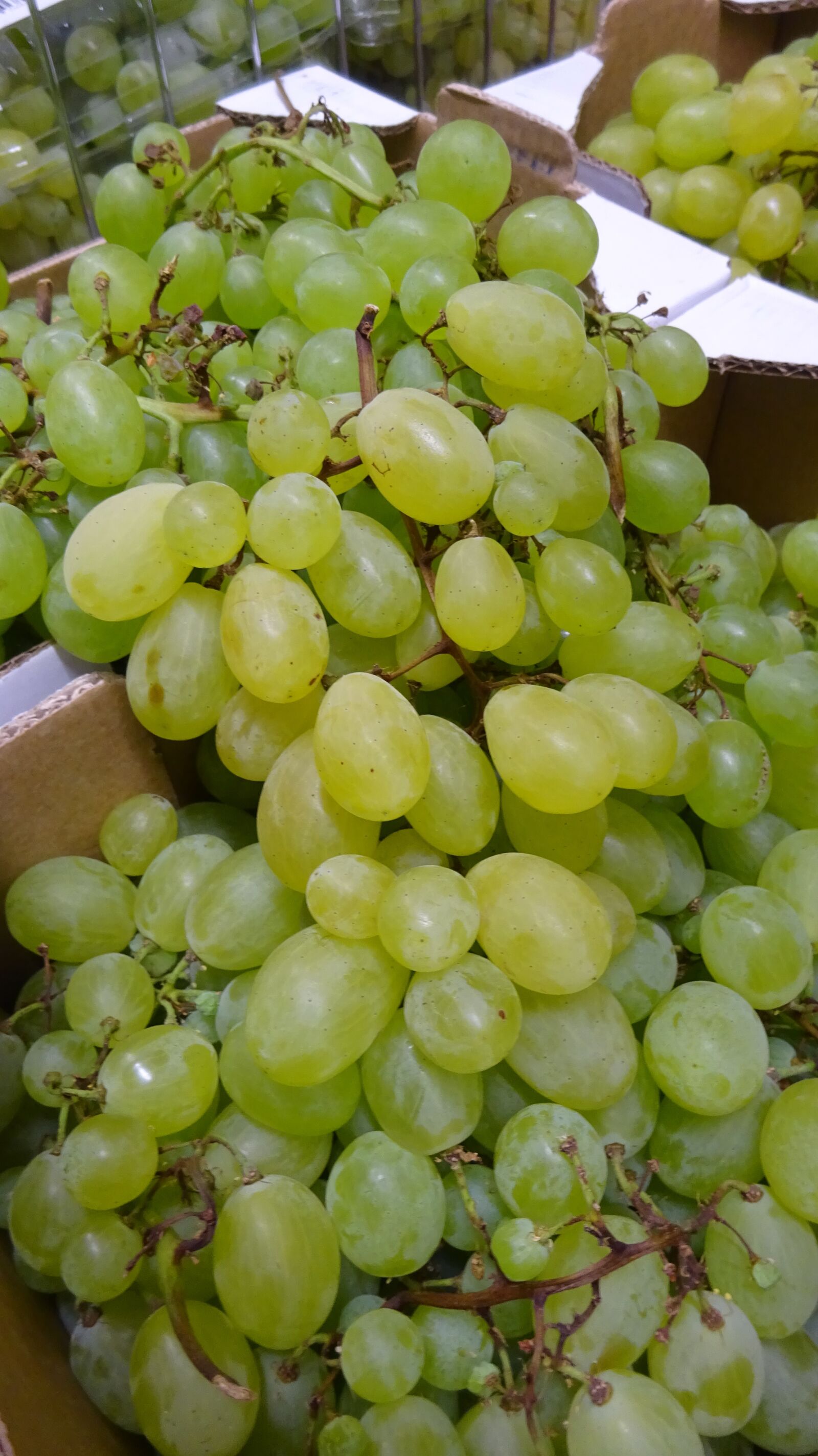 Sony Cyber-shot DSC-WX350 sample photo. Grapes, fruit, sweet photography