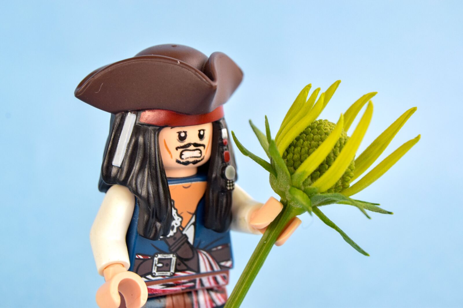 Nikon D3300 sample photo. Lego, pirate, flower photography