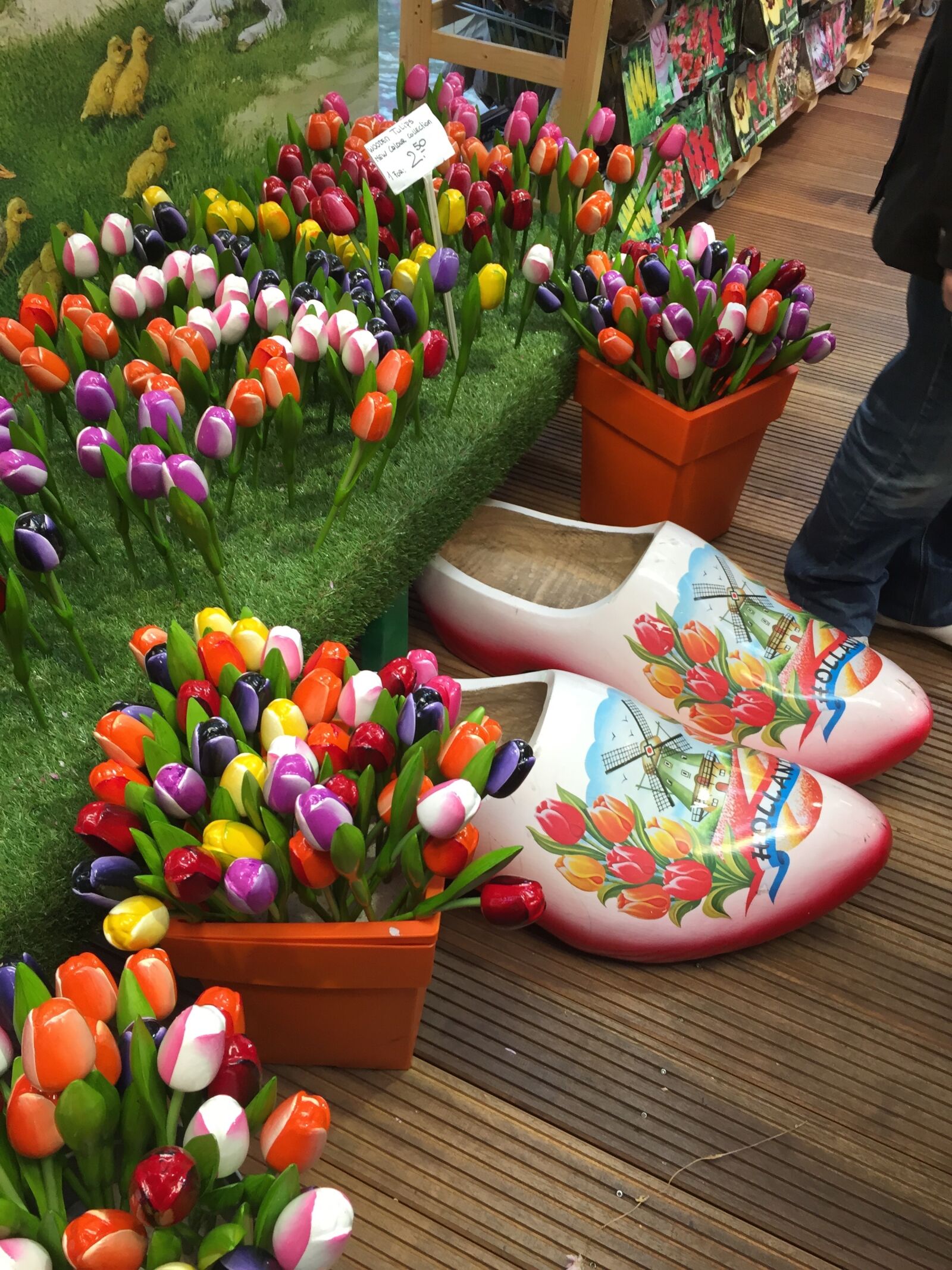 Apple iPhone 6 sample photo. Tulips, shoe, amsterdam photography