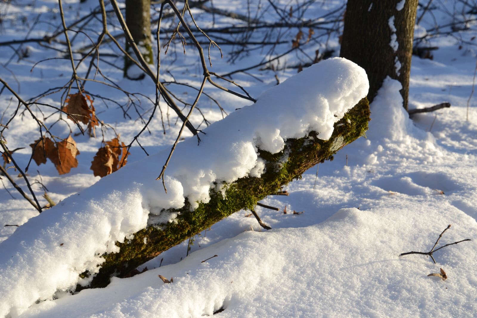 Nikon D3100 sample photo. Snow, winter, landscape photography