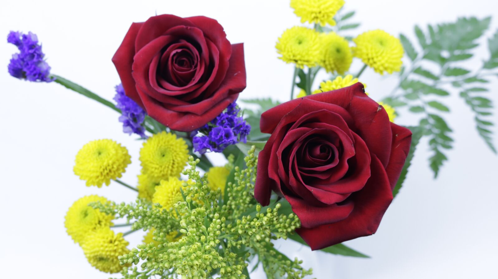 Canon EOS 750D (EOS Rebel T6i / EOS Kiss X8i) sample photo. Roses, flowers, red photography