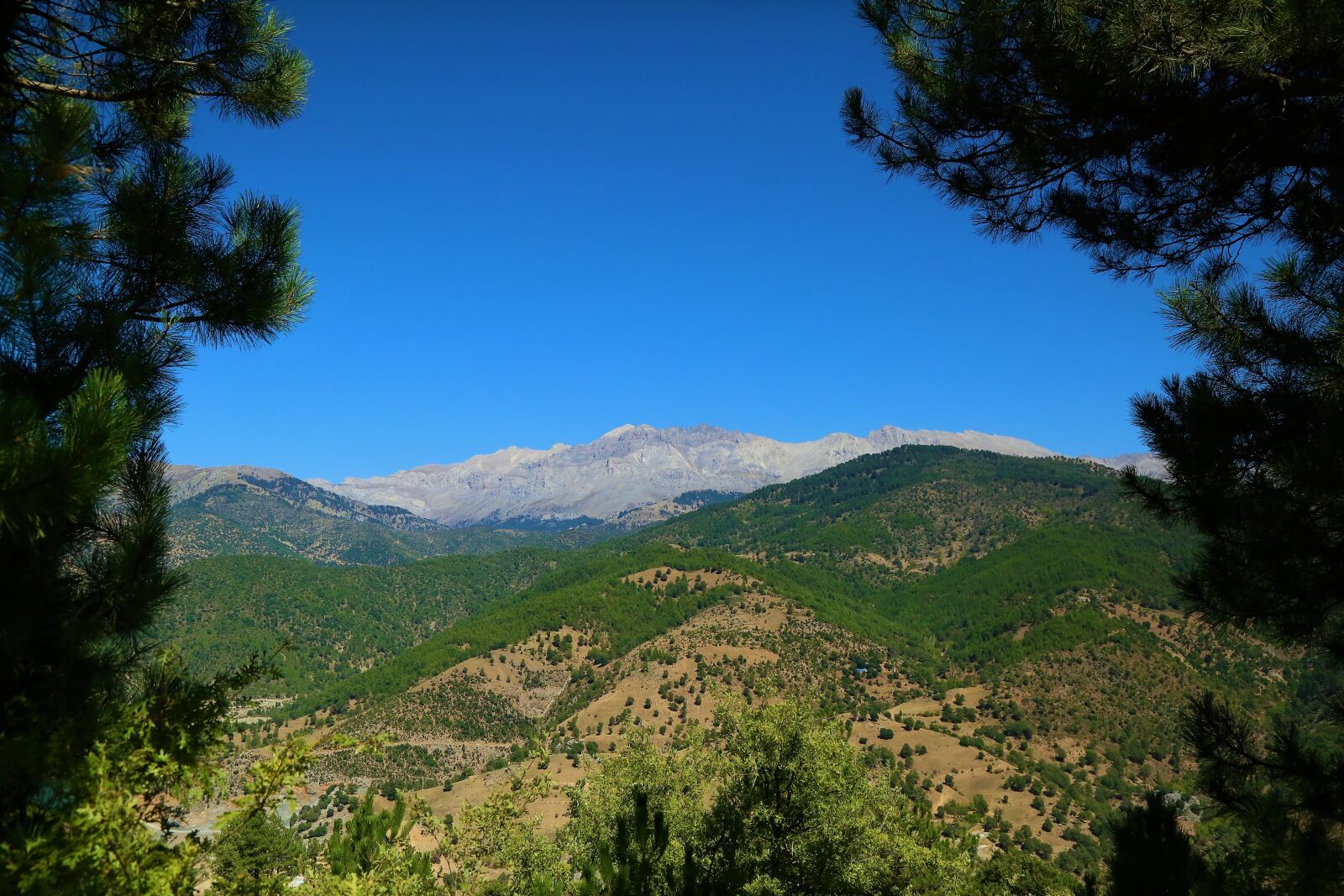 Canon EF 24-105mm F4L IS USM sample photo. Landscape, mountains, nature photography