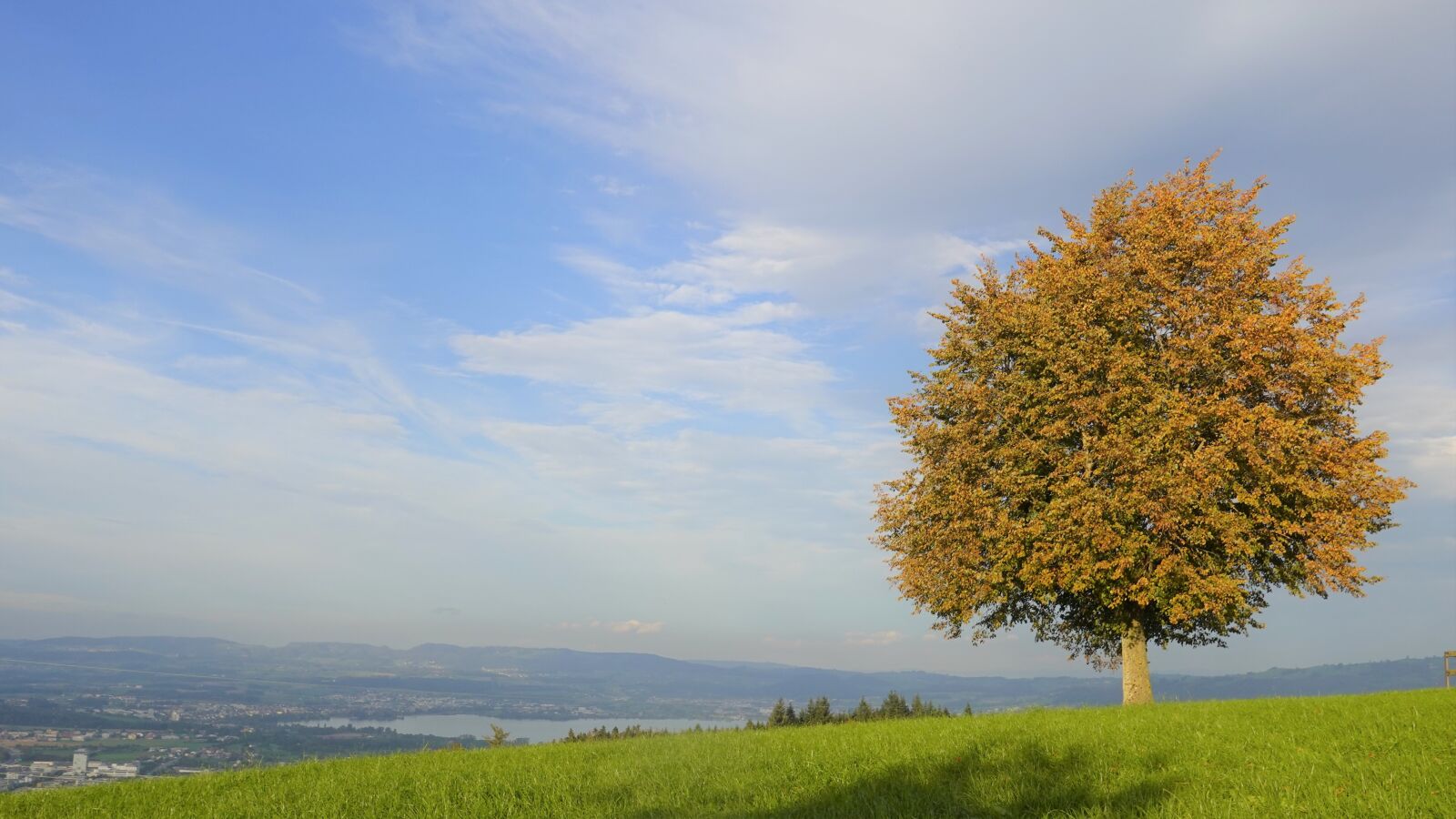 Sony DSC-RX100M7 sample photo. Autumn, tree, landscape photography