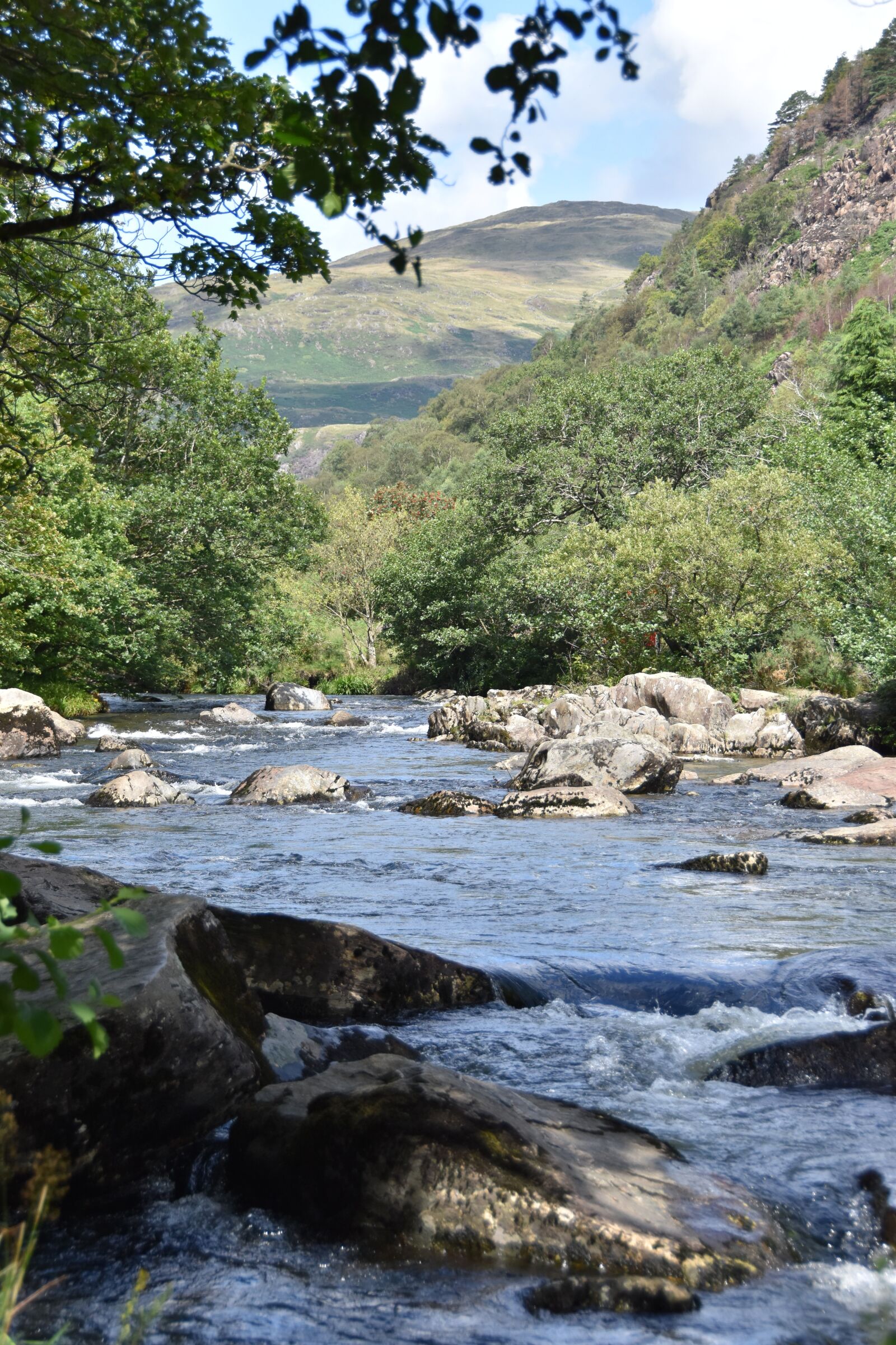 Nikon D5600 sample photo. River, wales, countryside photography