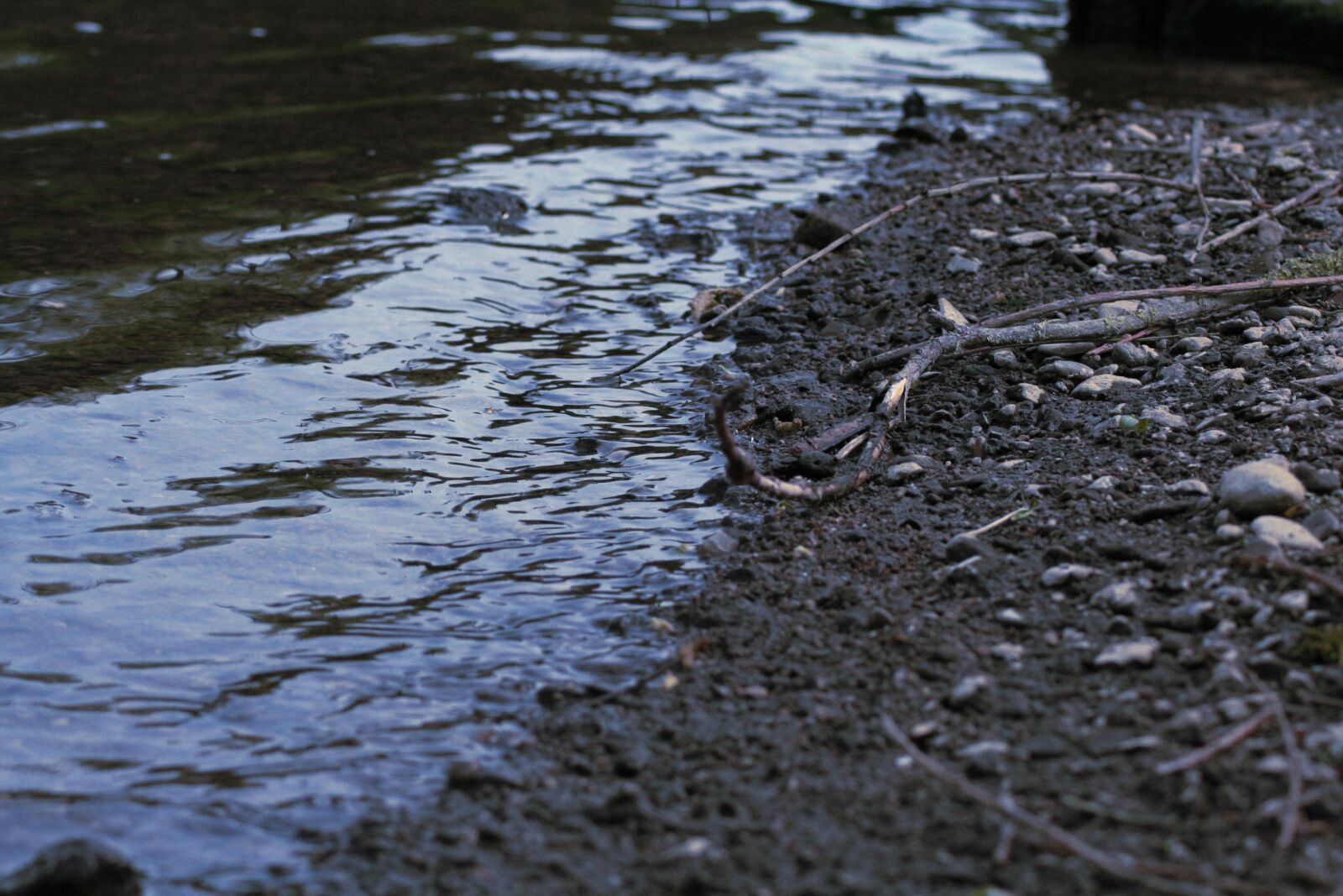 Canon EOS 350D (EOS Digital Rebel XT / EOS Kiss Digital N) sample photo. River, dark, water photography