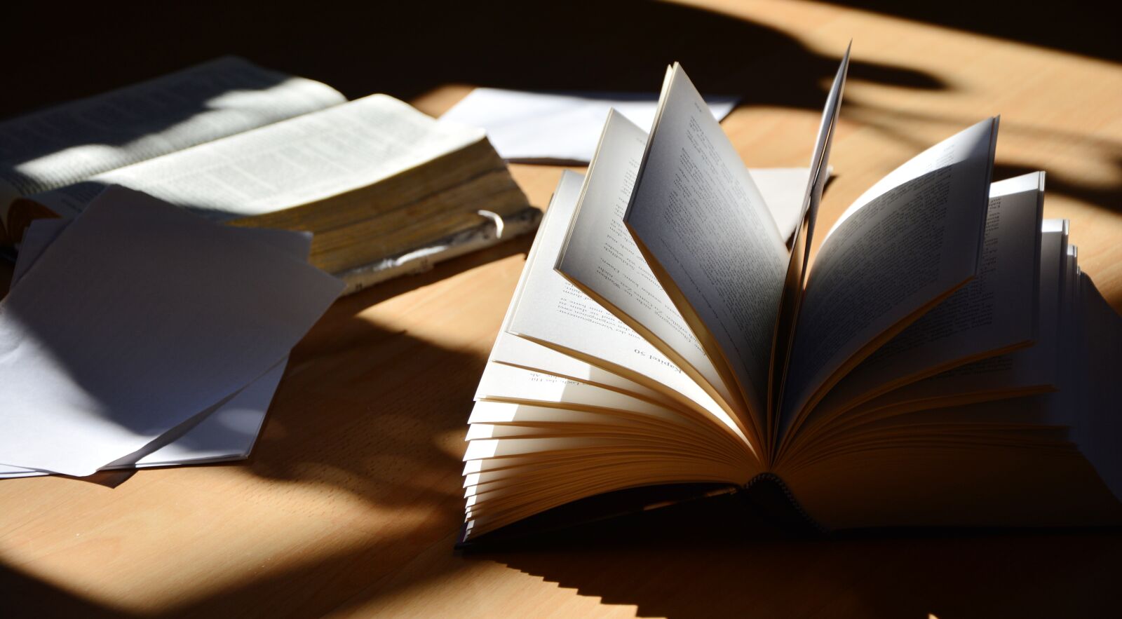 Nikon D5200 sample photo. Book, read, literature photography