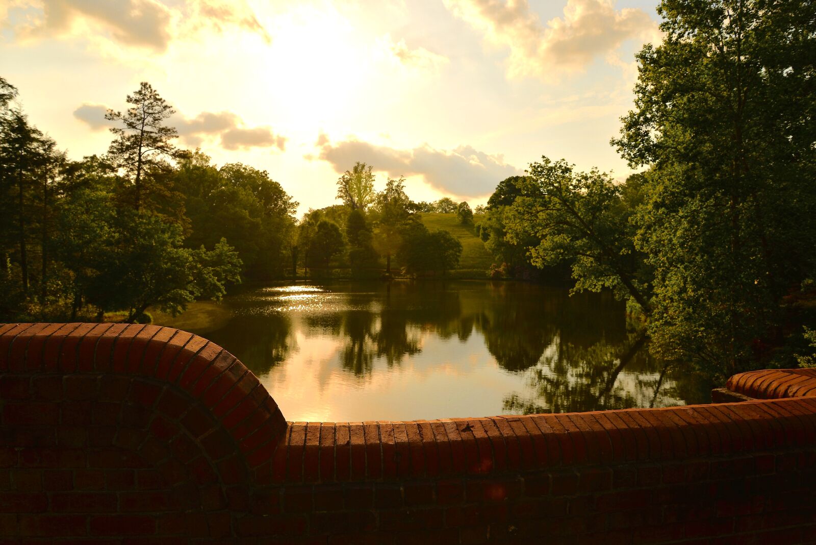 Nikon D610 sample photo. Lake, nc, biltmore photography
