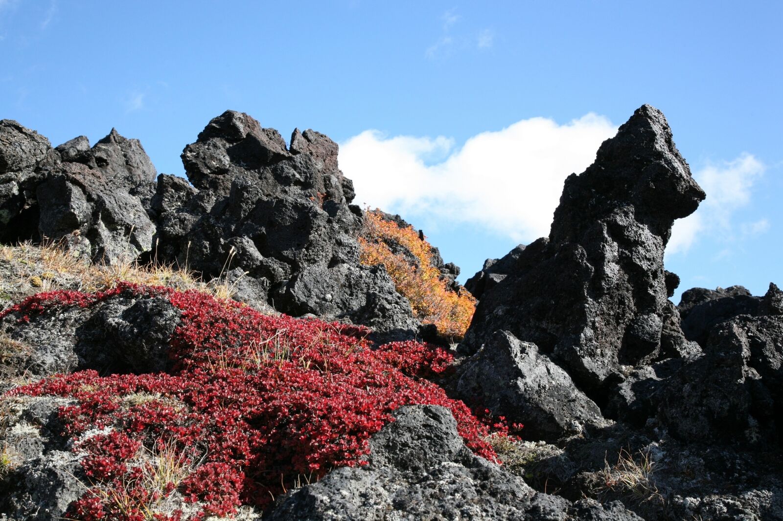 Canon EOS 5D sample photo. Autumn, mountains, volcano photography