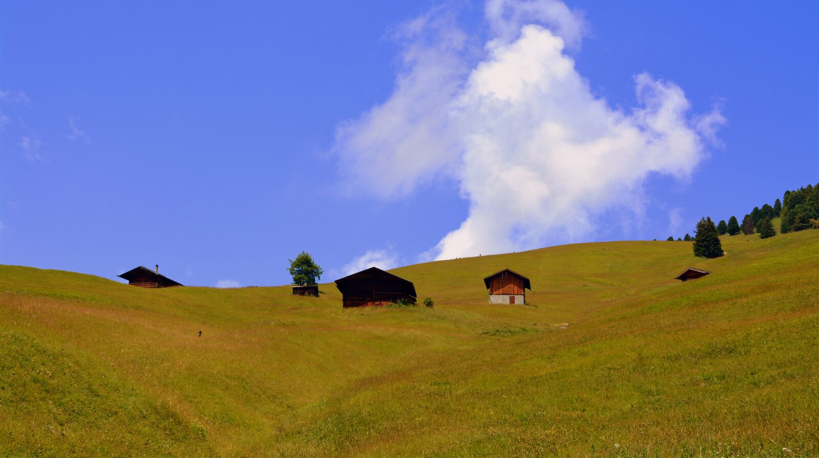 Nikon D7100 sample photo. Alm, prato, dolomites photography