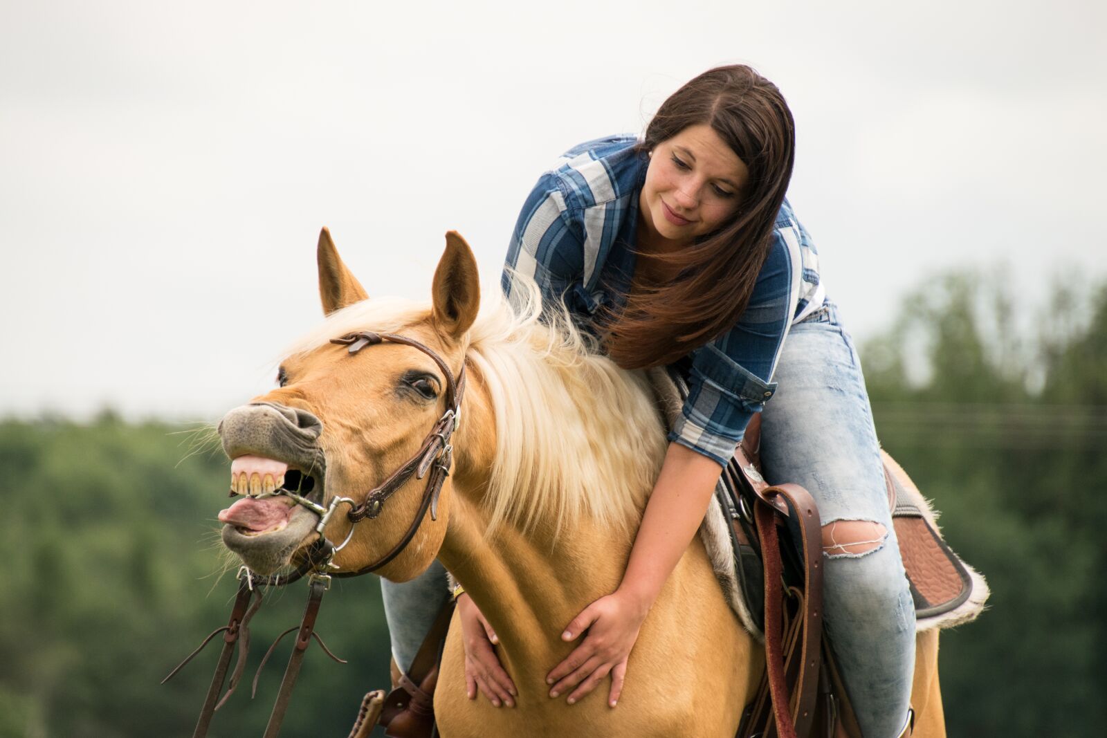 Nikon D3300 sample photo. Horse, making a face photography