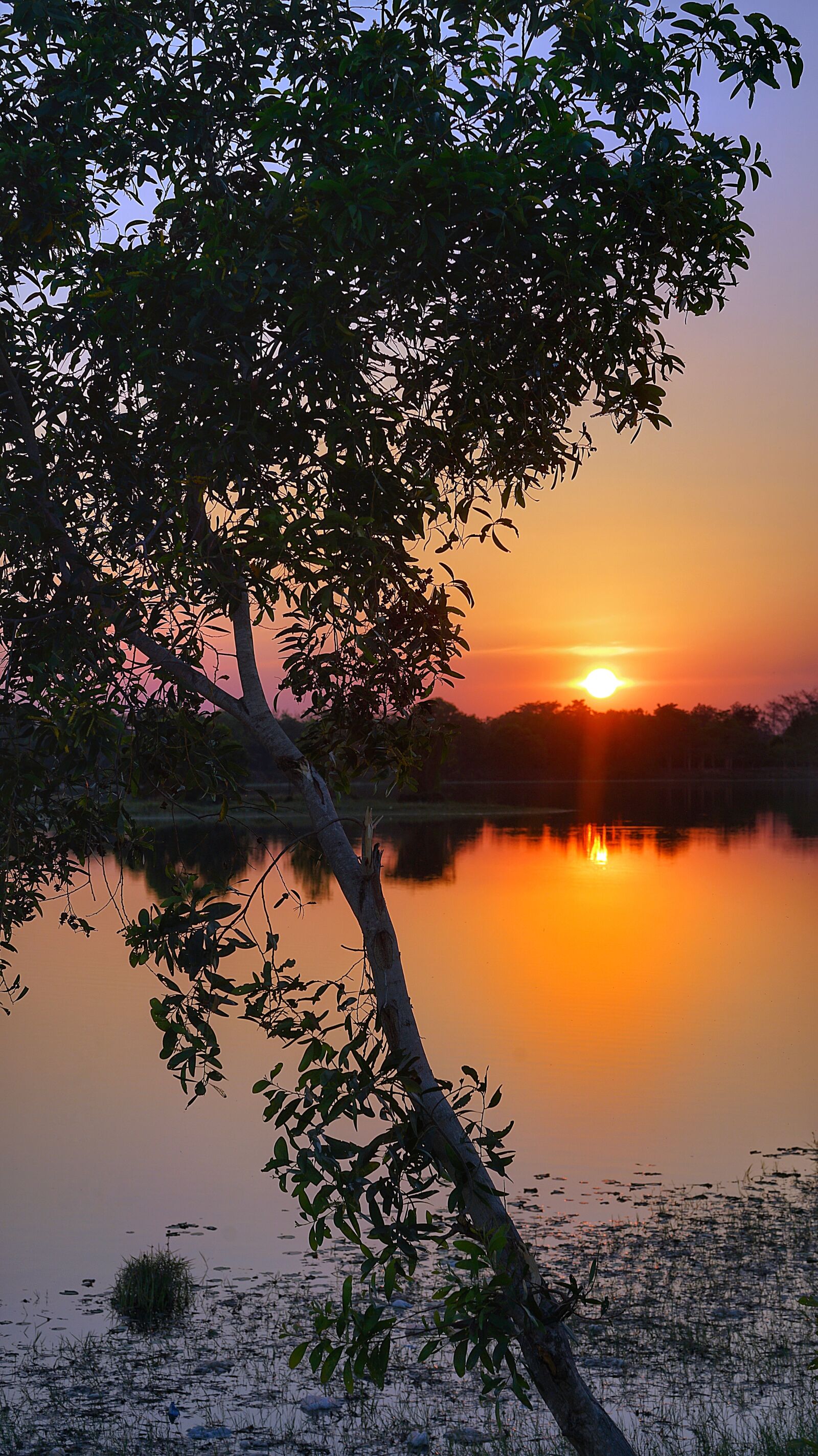 Sony a7R II + Sony FE 70-300mm F4.5-5.6 G OSS sample photo. Evening, dusk, sunset photography