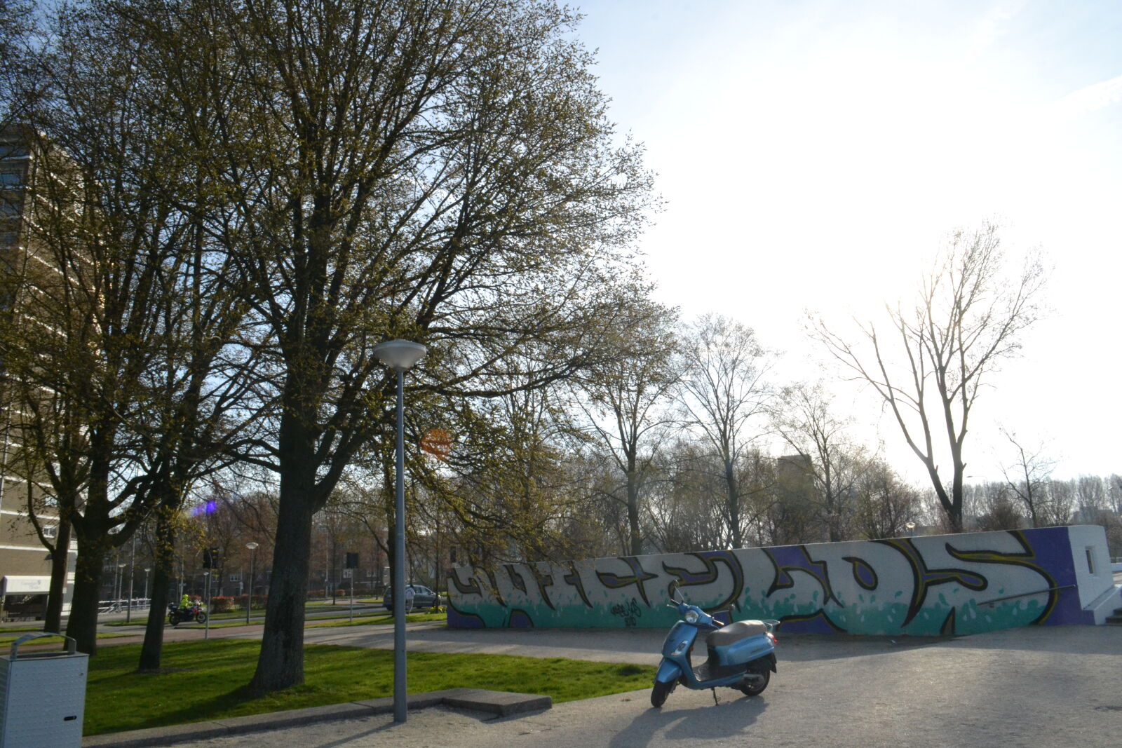 Nikon D3100 sample photo
