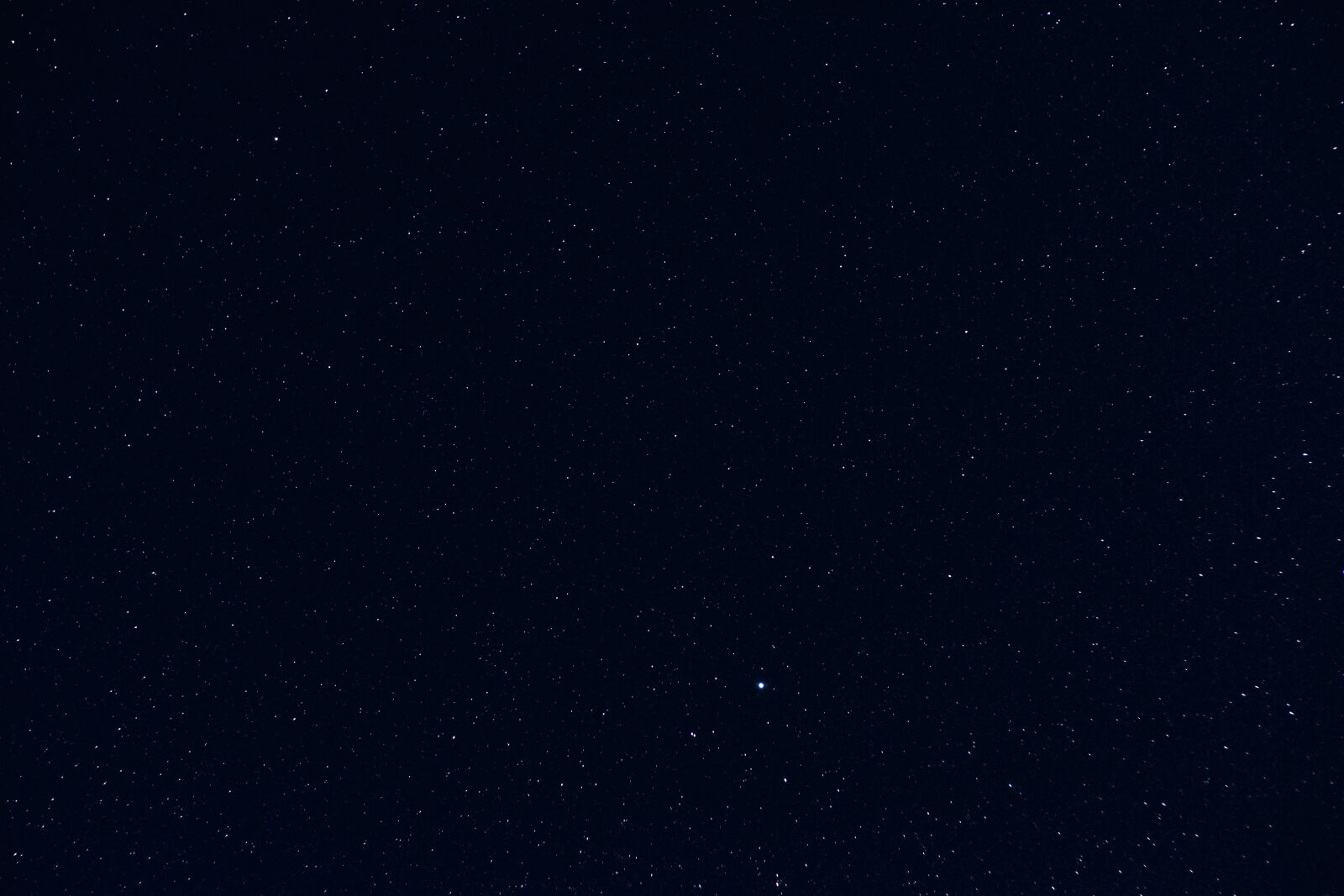 Nikon D5600 sample photo. Night sky, stars, dark photography