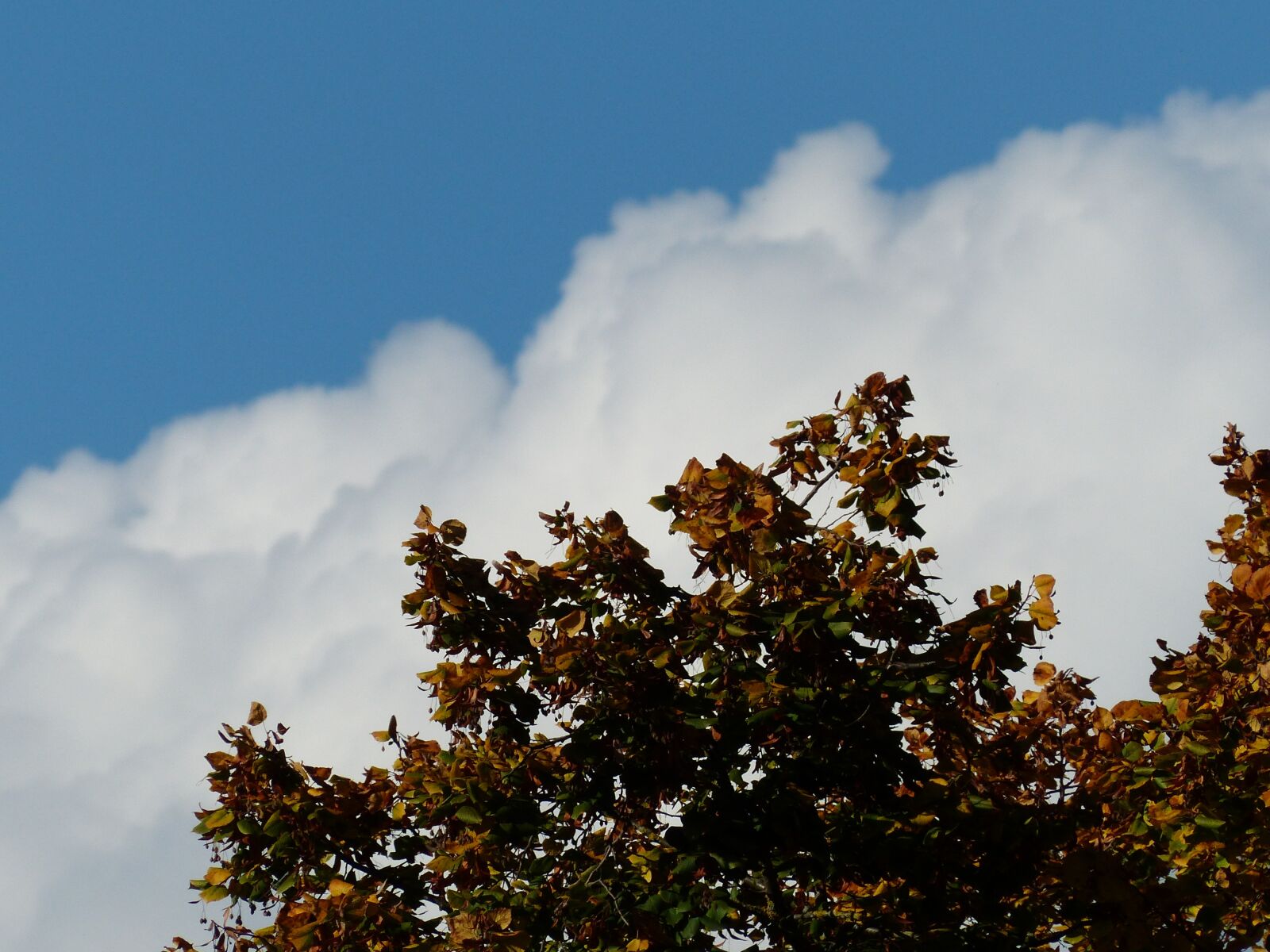 Panasonic Lumix DMC-FZ200 sample photo. Sky, clouds, cloud mountains photography