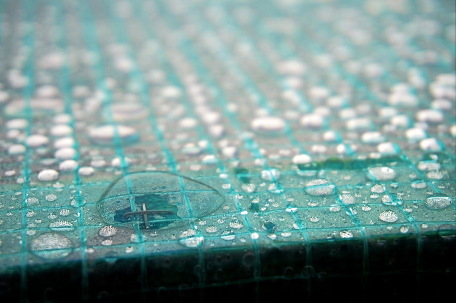 Sony Alpha a5000 (ILCE 5000) sample photo. Green, tiles, with, waterdrops photography