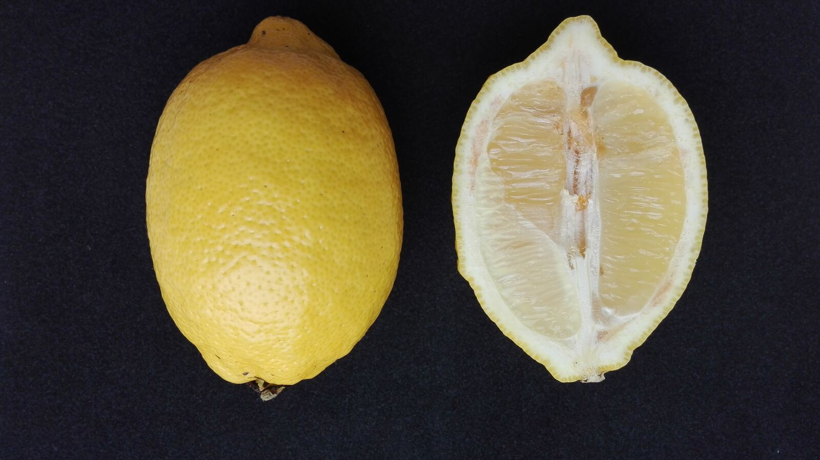 HUAWEI Cherry Mini sample photo. Lemon, citrus, fruit photography