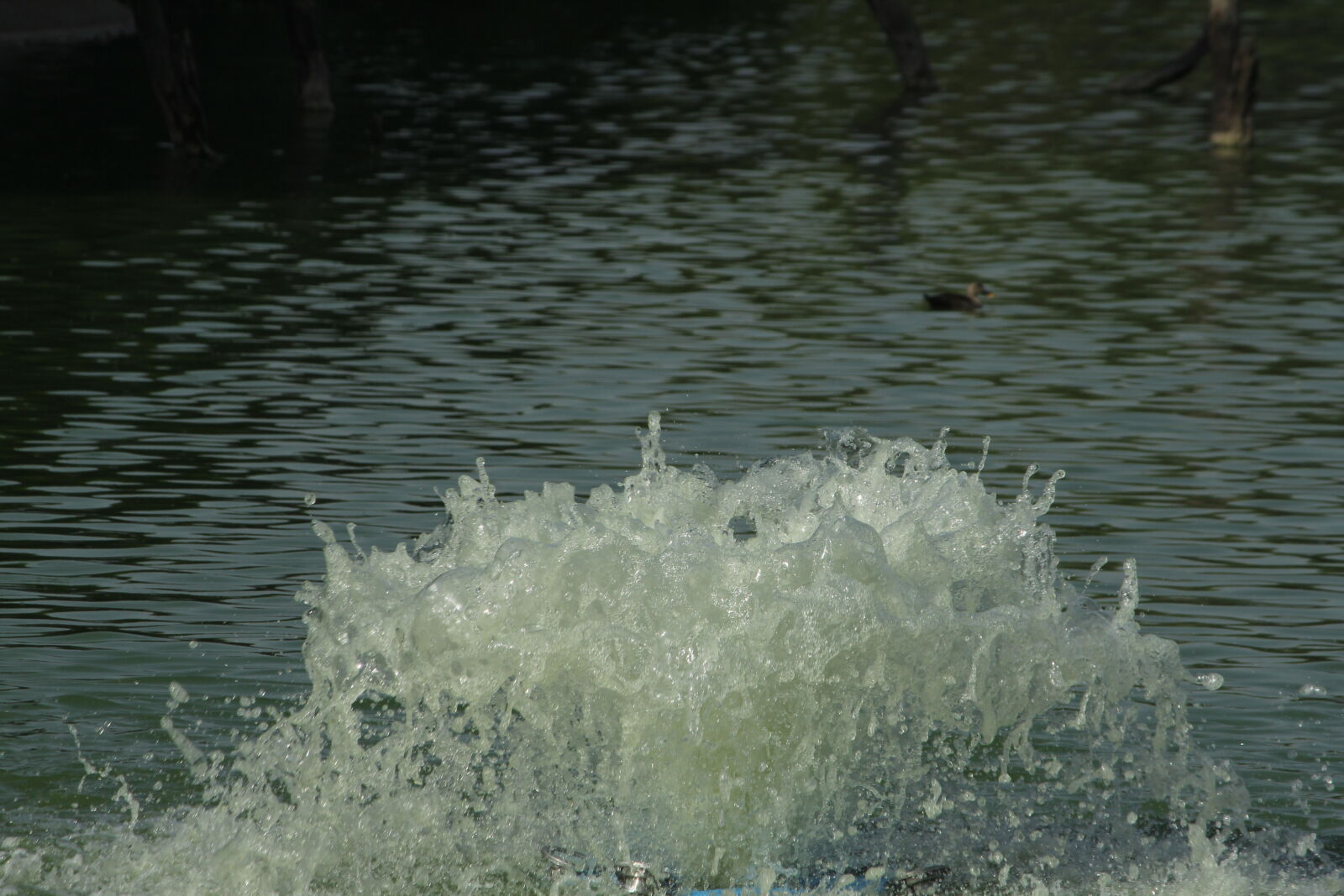 Canon EOS 60D + Canon EF-S 55-250mm F4-5.6 IS sample photo. Background, image, blue, water photography
