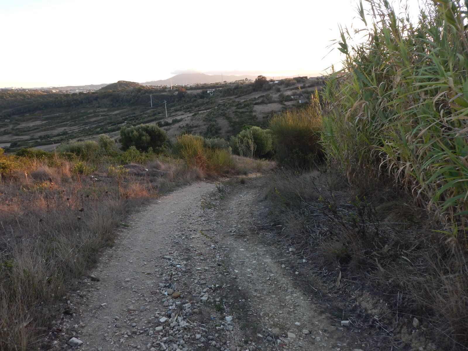 Nikon Coolpix L820 sample photo. Dirt road, path, nature photography