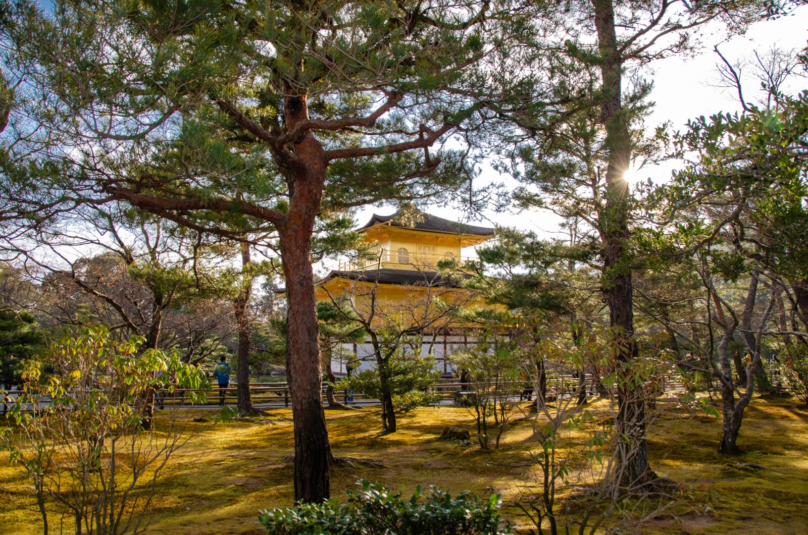 Nikon D5100 sample photo. Kinkaku-ji, the golden pavilion photography
