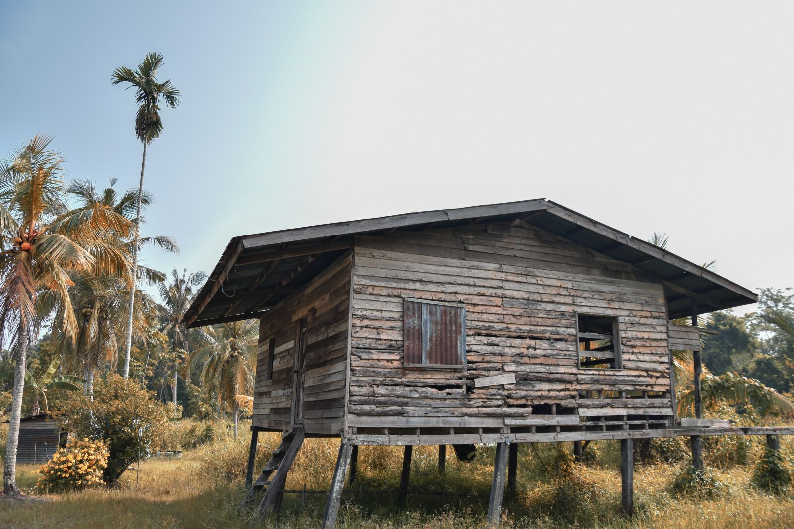 Nikon D3400 sample photo. Hut, wood, jungle photography