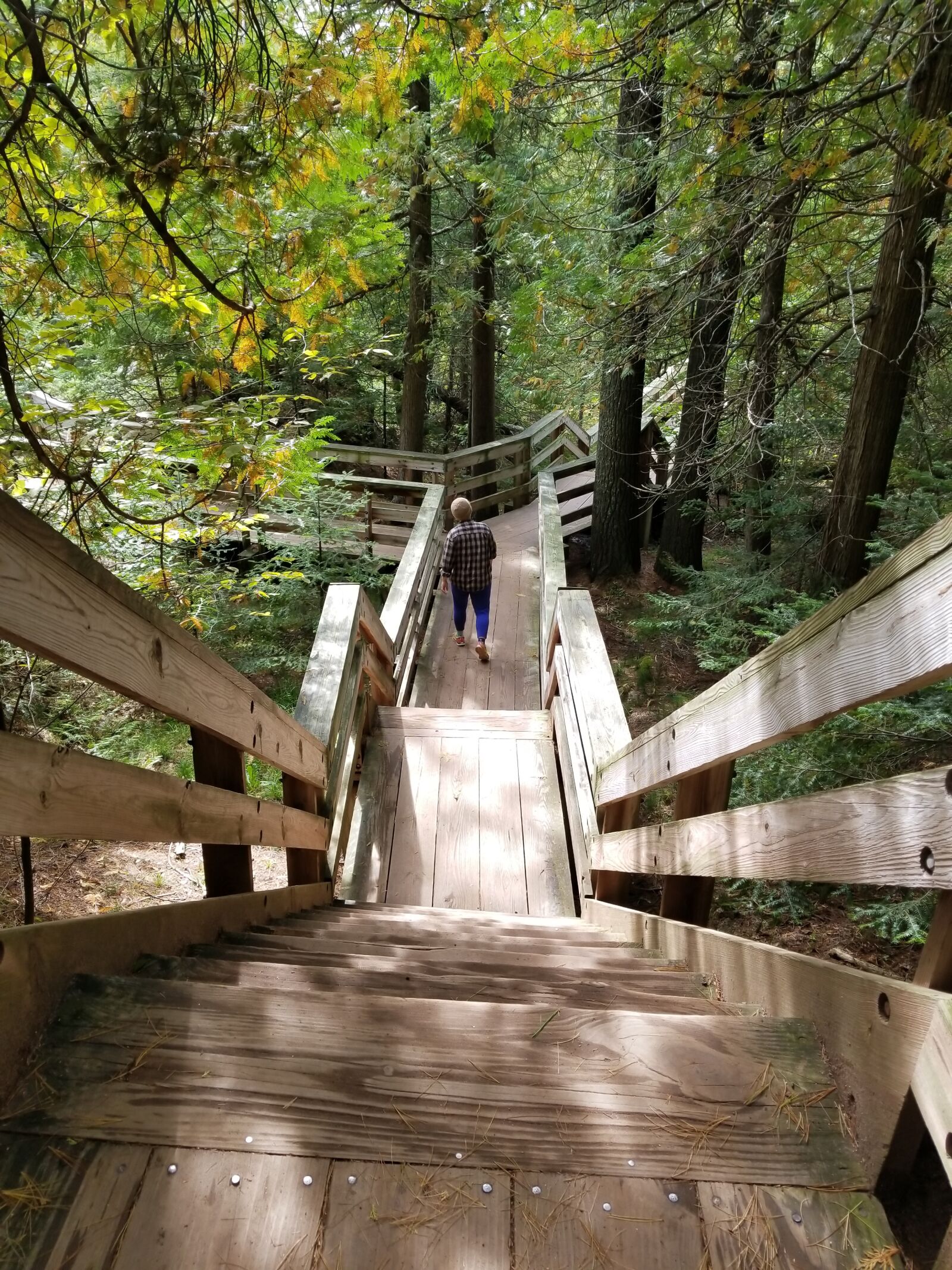 Samsung Galaxy S8 sample photo. Stairs, woods, nature photography