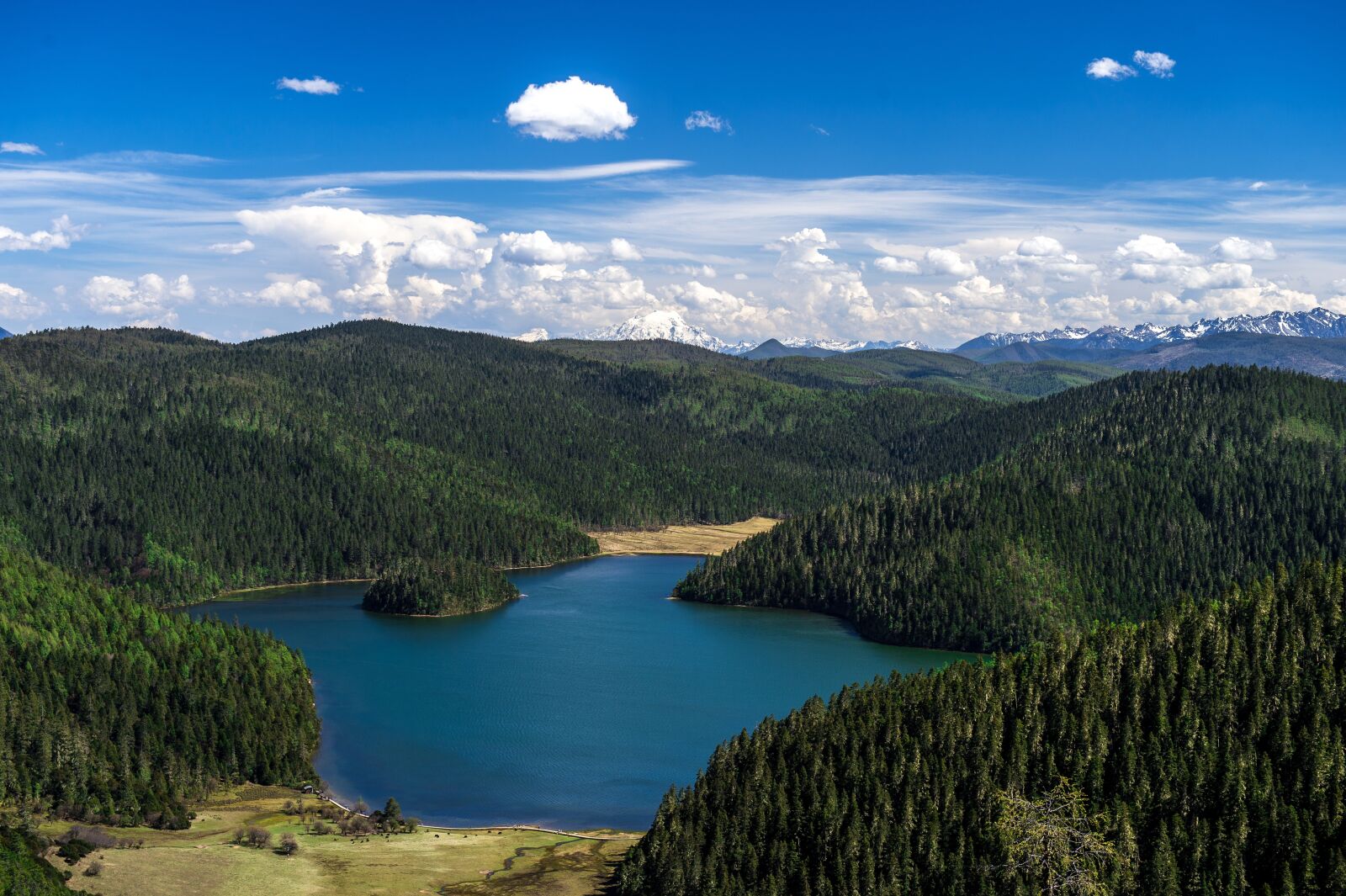 Nikon D4 sample photo. Blue sky, lake, forest photography