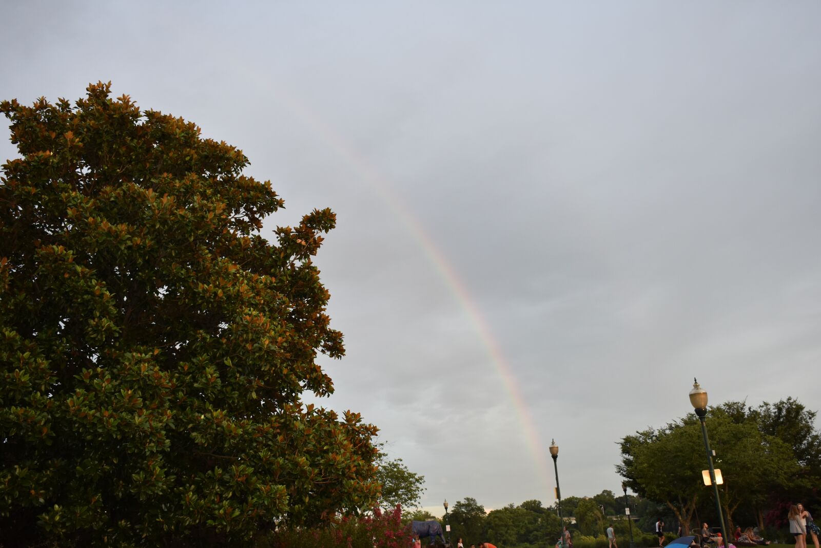 Nikon D3400 sample photo. Rainbow, over, sky photography