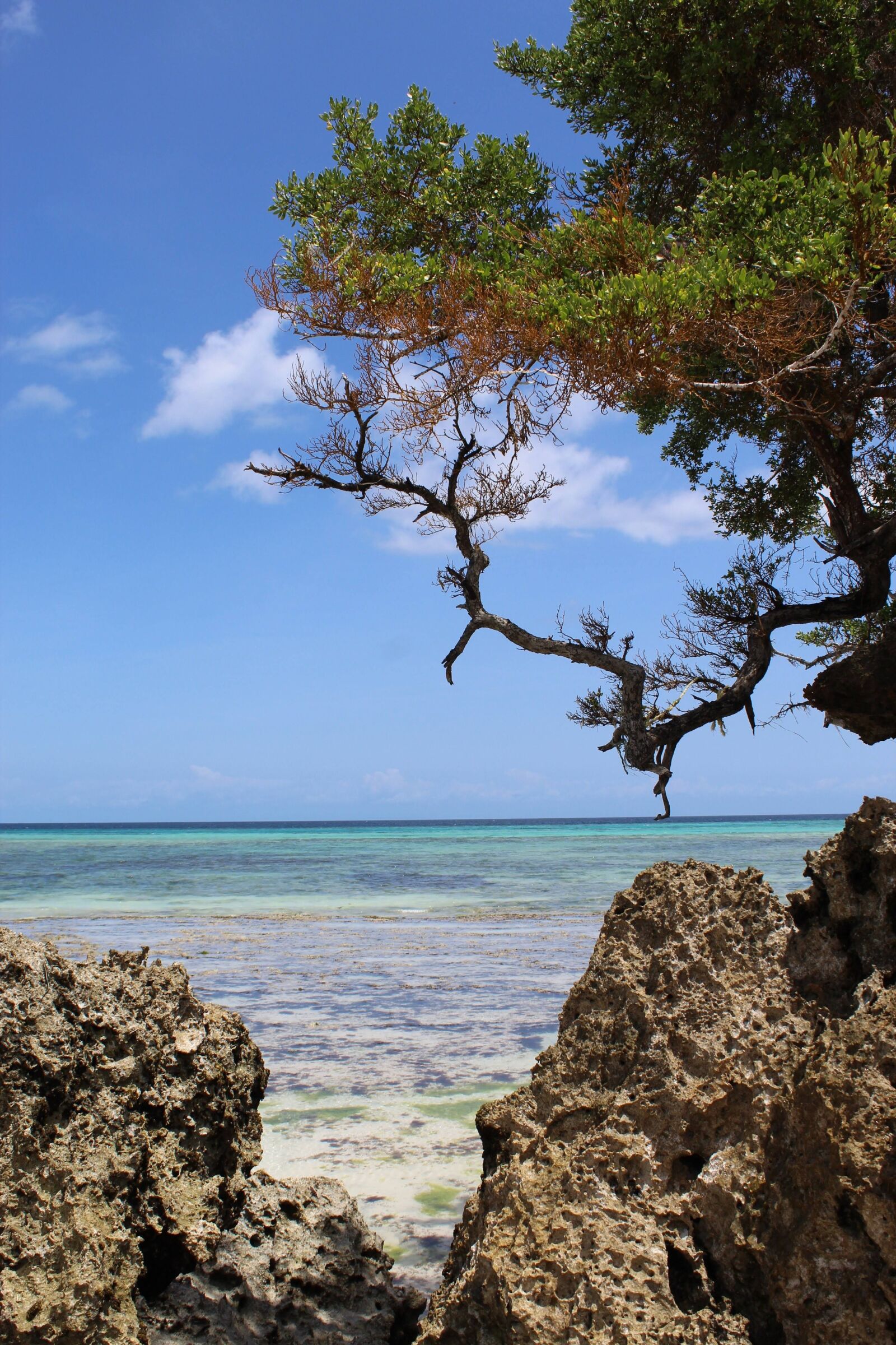 Canon EOS 1300D (EOS Rebel T6 / EOS Kiss X80) sample photo. Pemba island, holiday, vacation photography