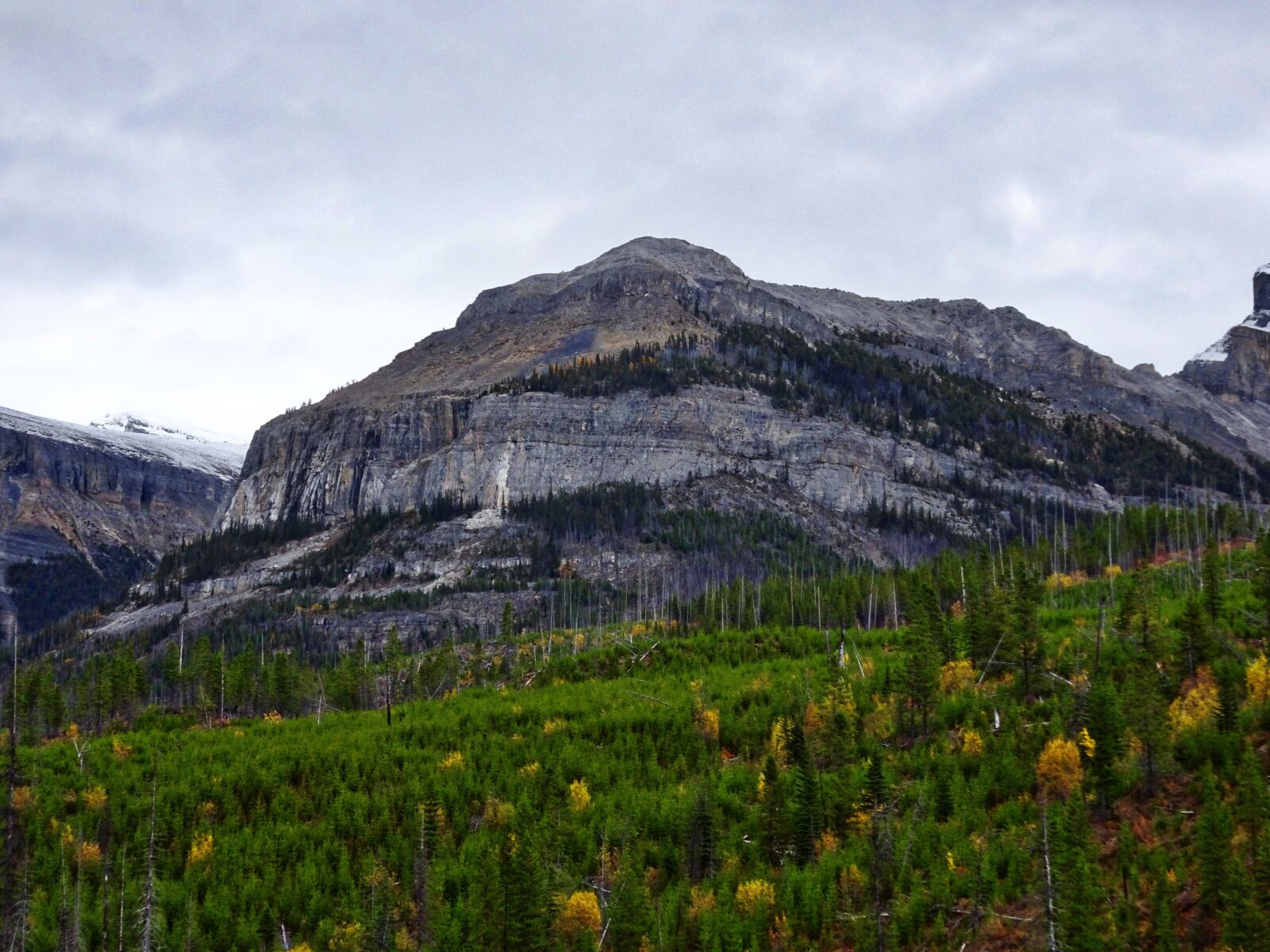 Sony Cyber-shot DSC-HX90V sample photo. Autumn, mountains, forest photography