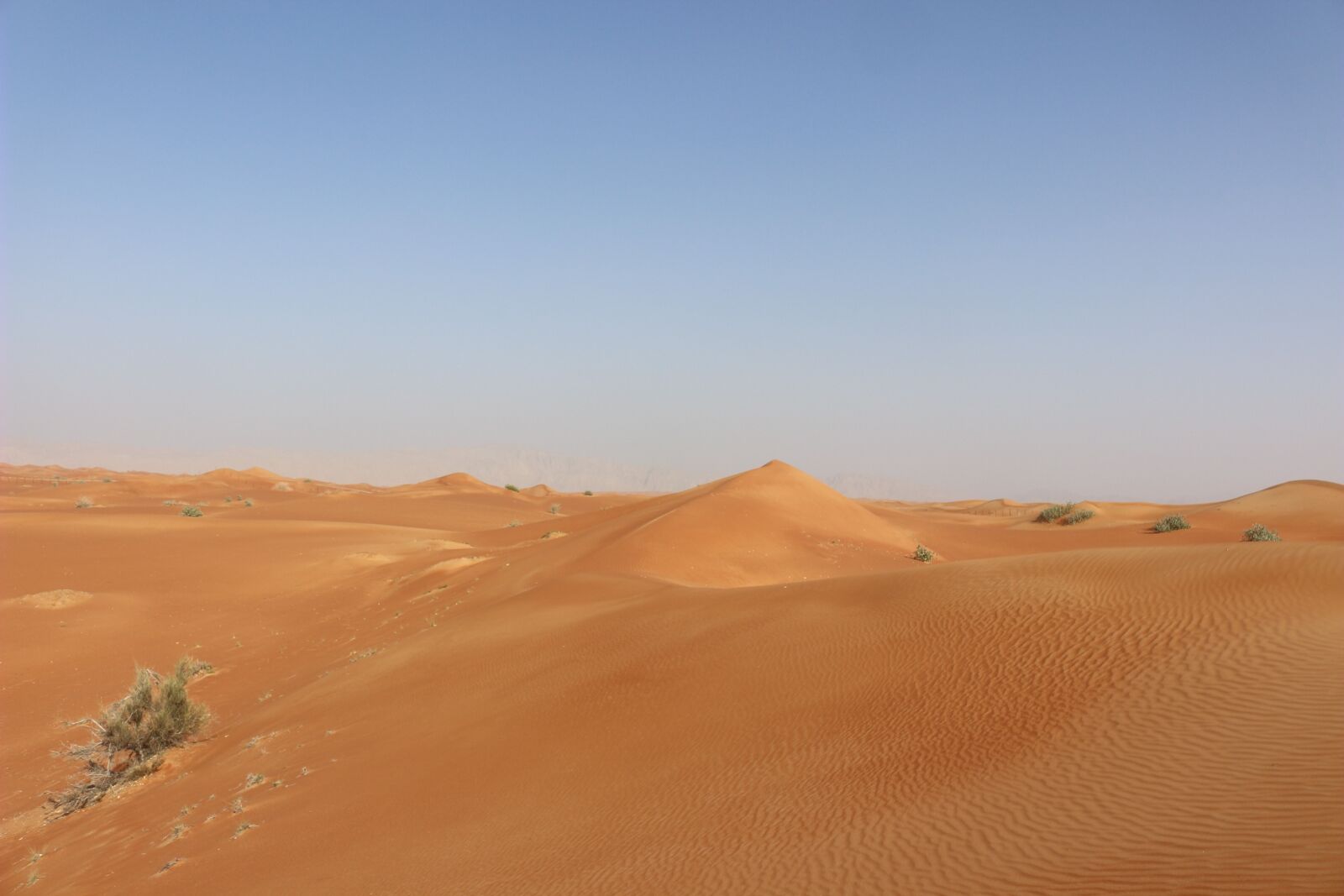 Canon EOS 100D (EOS Rebel SL1 / EOS Kiss X7) sample photo. Desert, sand, dry photography