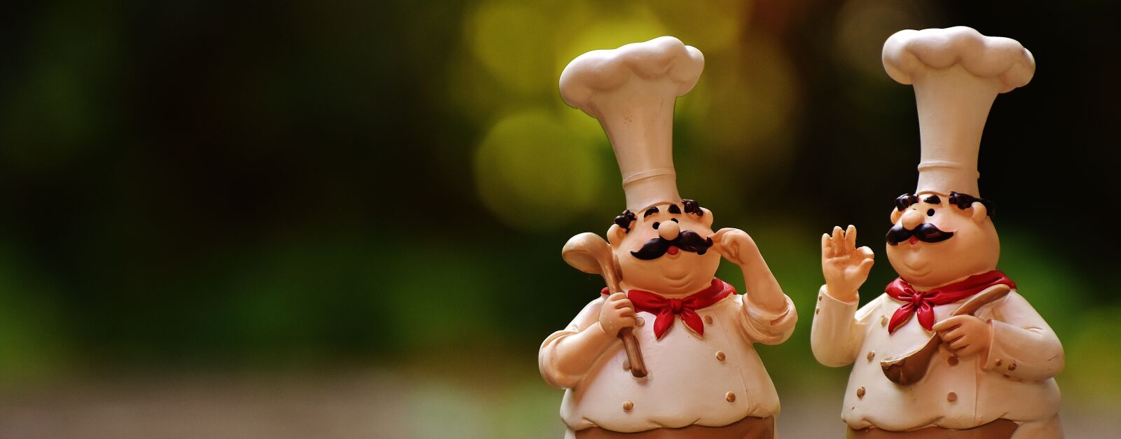Nikon D7200 sample photo. Chefs, figures, funny photography