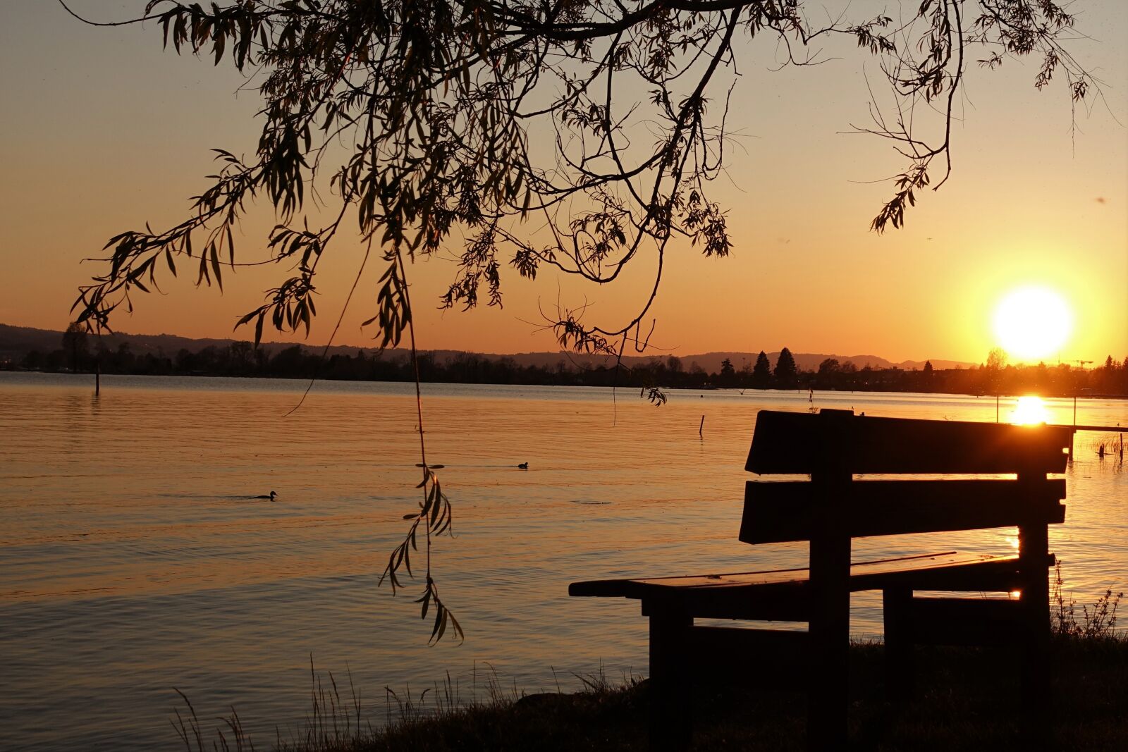 Sony Cyber-shot DSC-RX100 IV sample photo. Sunset, rest, mourning photography