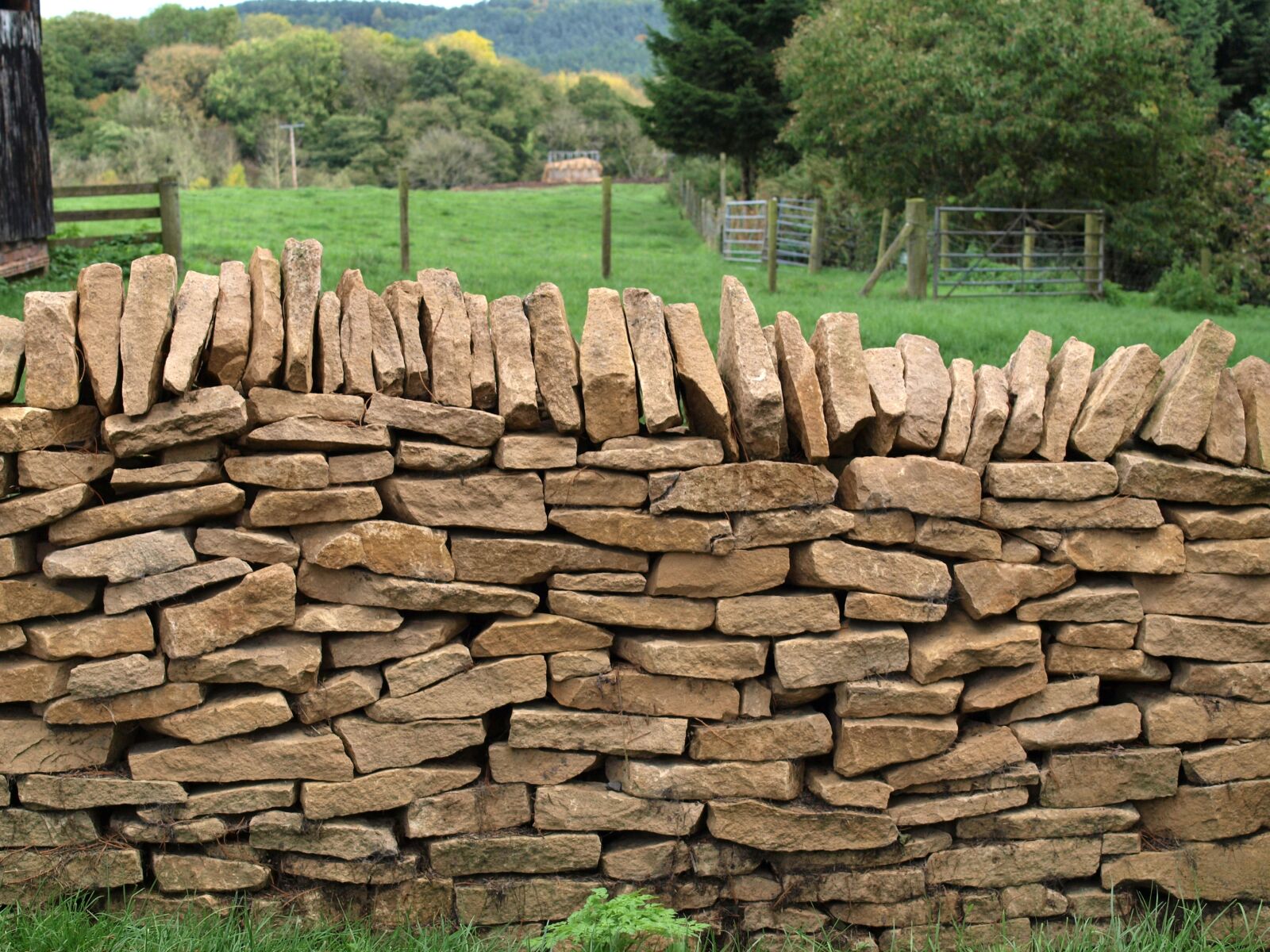 Olympus E-520 (EVOLT E-520) sample photo. Dry stone wall, wall photography
