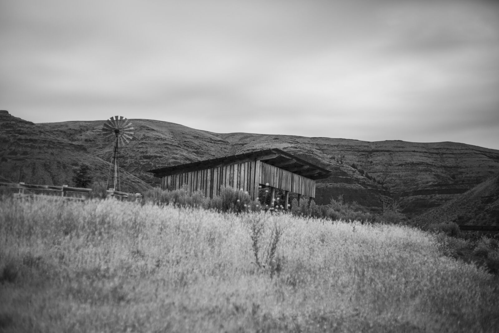 Canon EF 50mm F1.8 II sample photo. Black and white, farm photography