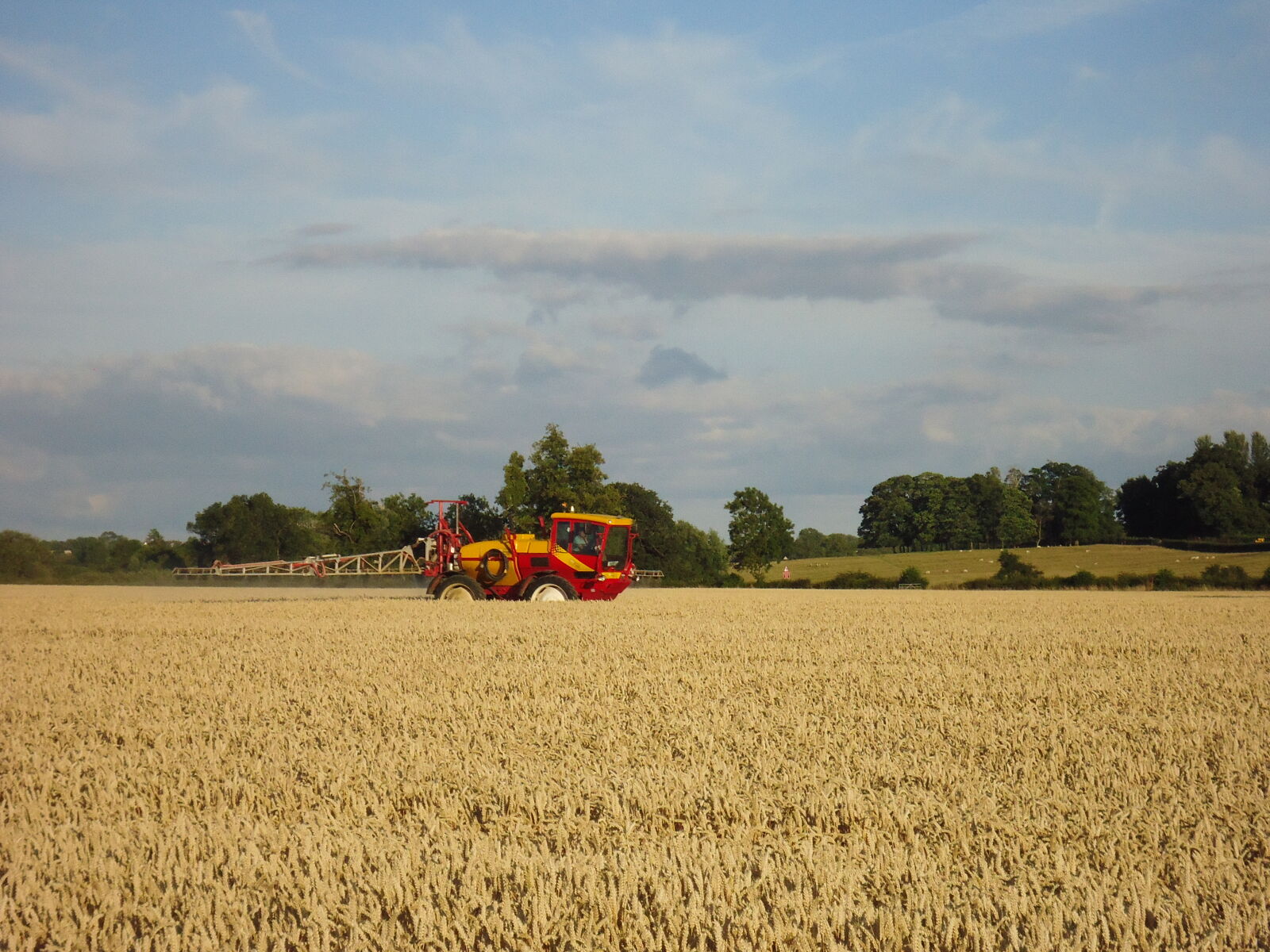 Sony Cyber-shot DSC-W610 sample photo. Corn, field, farm, equipment photography