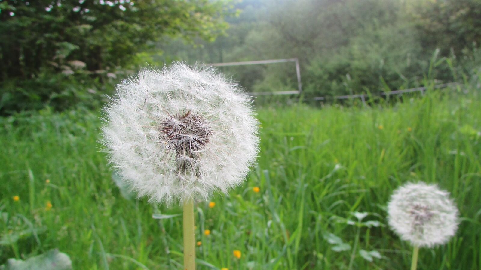 Canon PowerShot SX400 IS sample photo. Amazing, germany, nice, spring photography